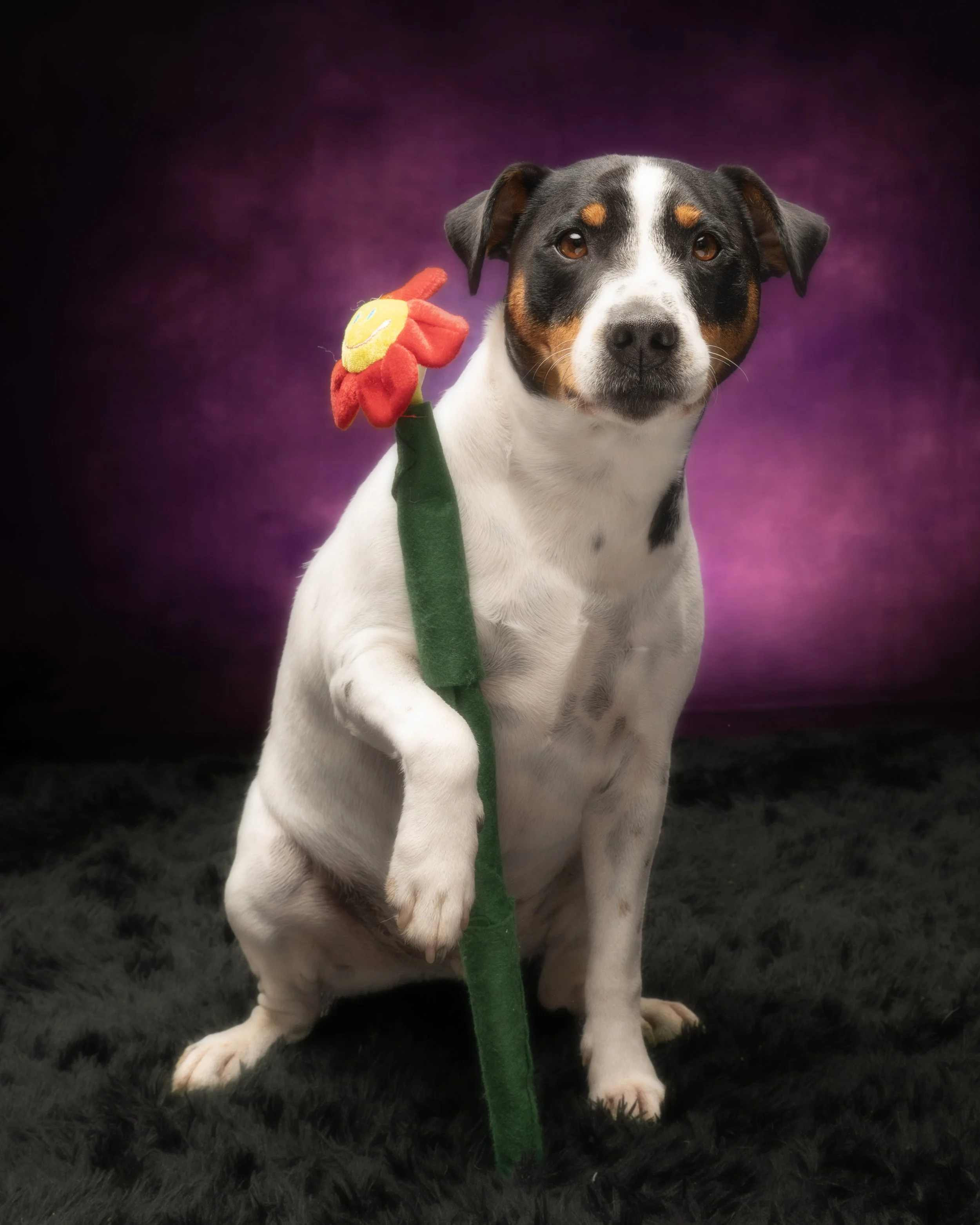 Benji 6.jpg
