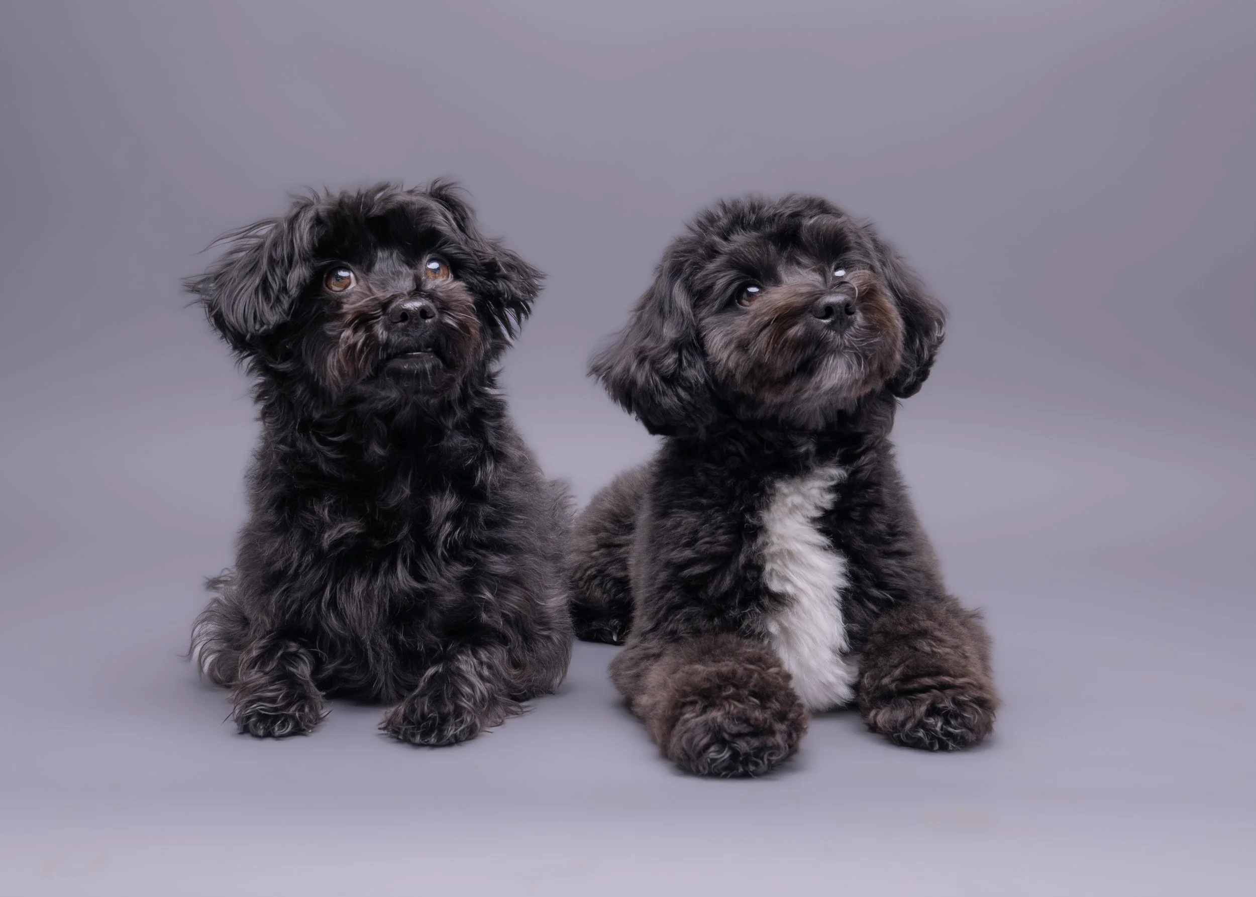 Minnie & Beryl 1.jpg