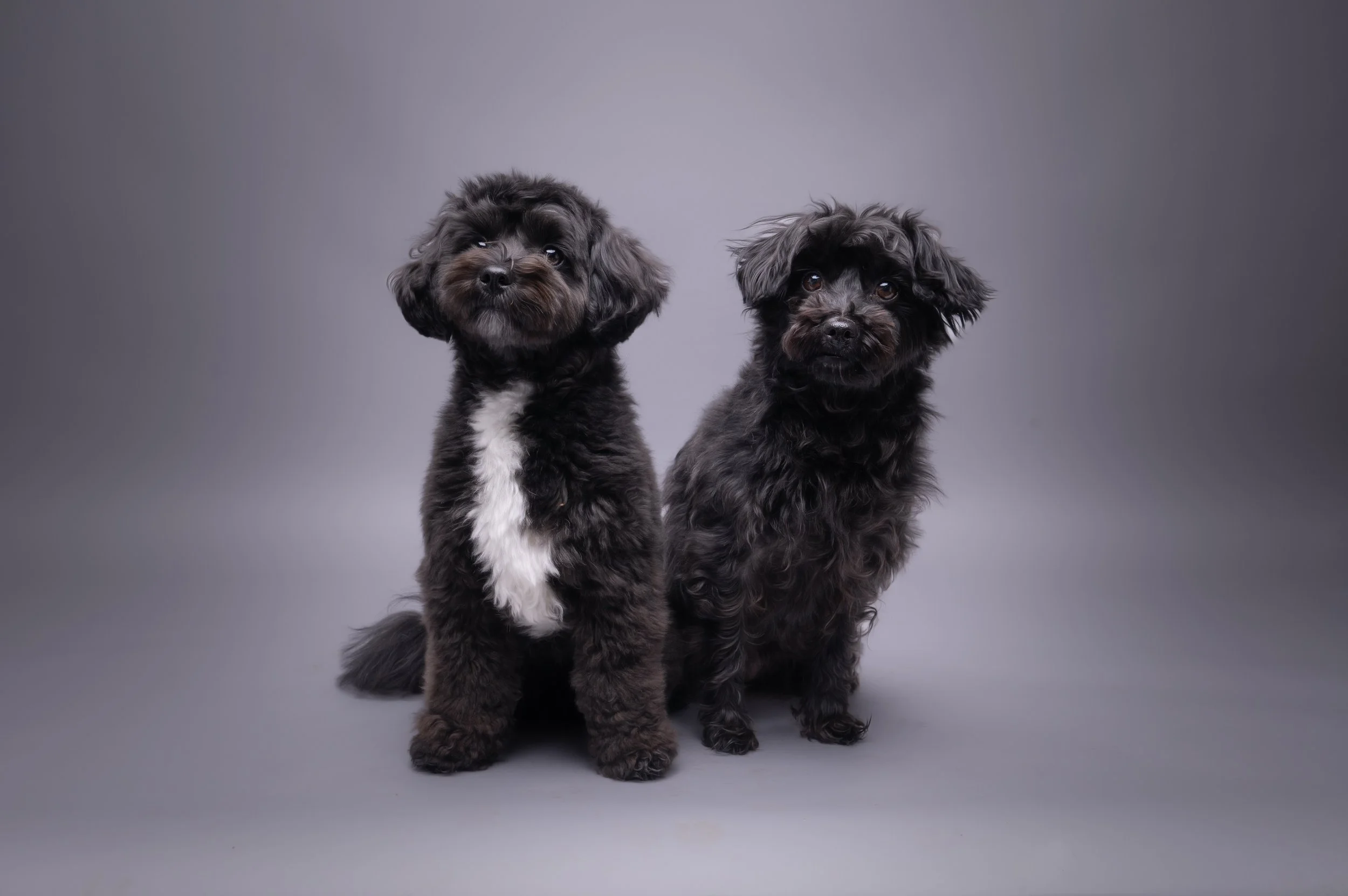 Beryl & Minnie 4.jpg