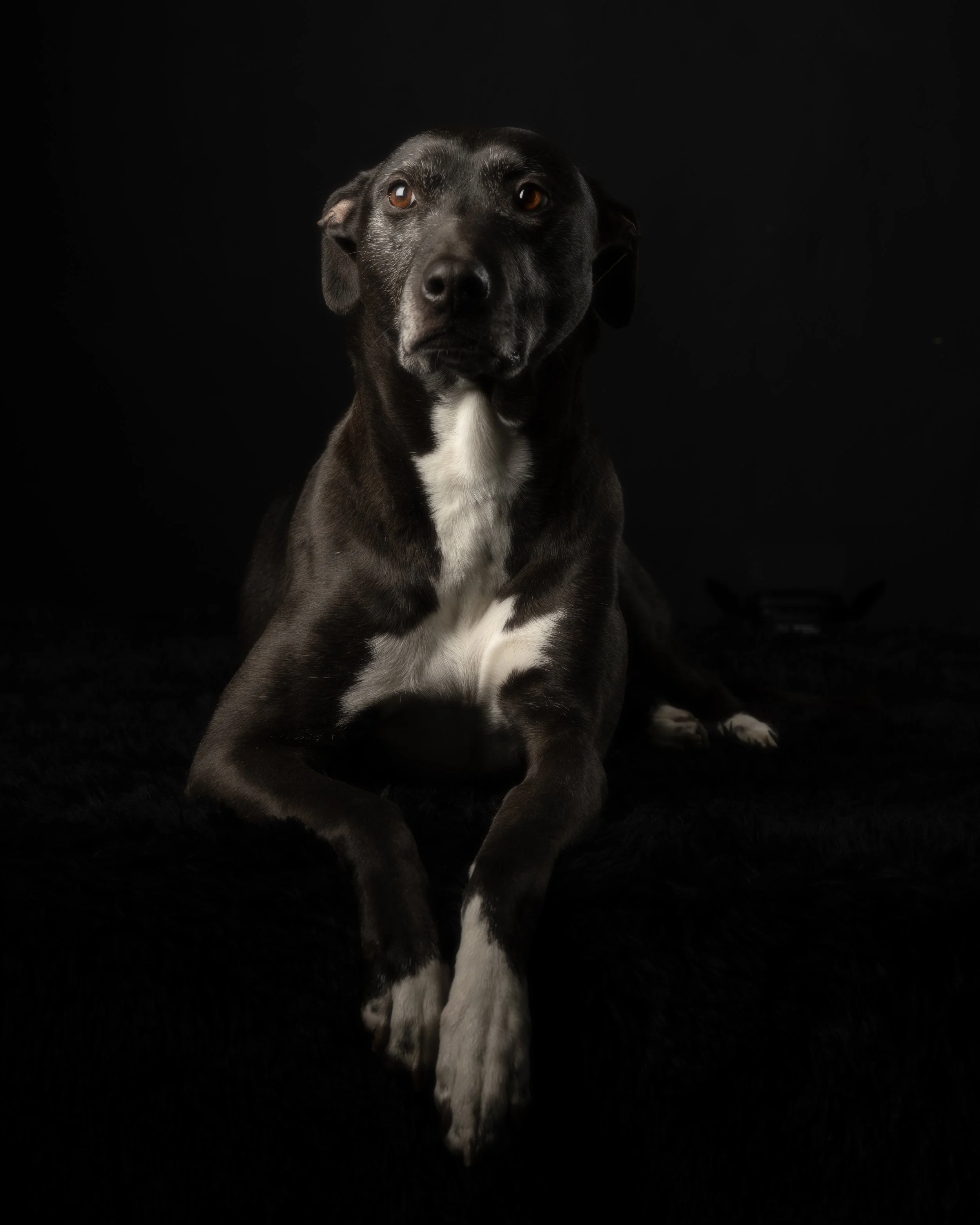 Luna 2.jpeg