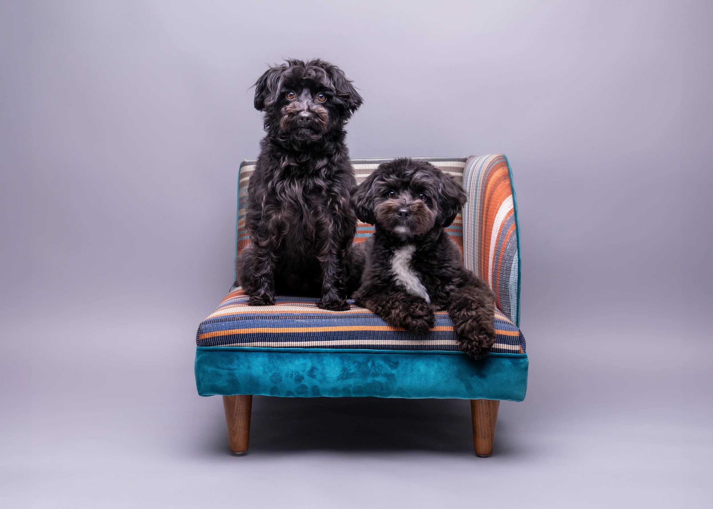 Minnie & Beryl 6.jpg