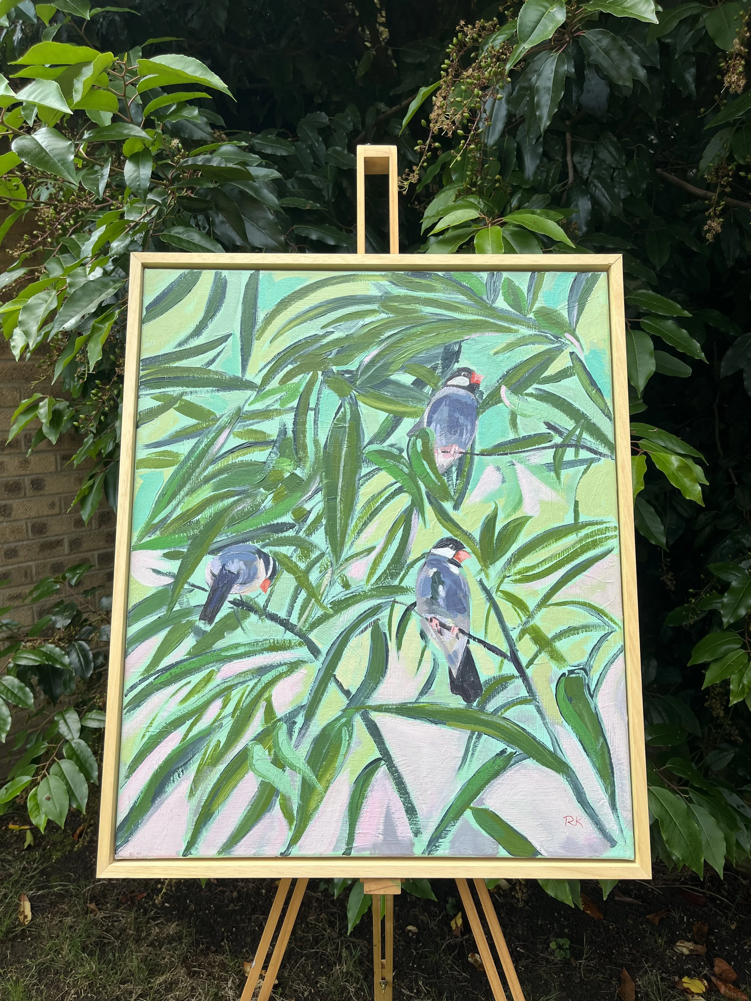 Three Little Birds