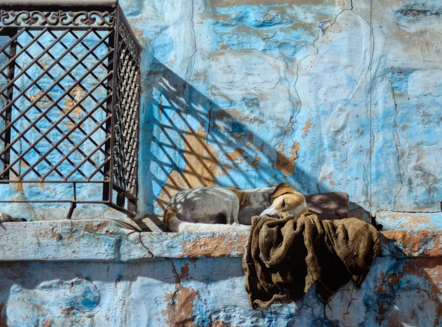 Street life of India 

Visiting India for the first time sure can change your perspective.

#india #teampixel #googlepixel #streetphotography #mumbai