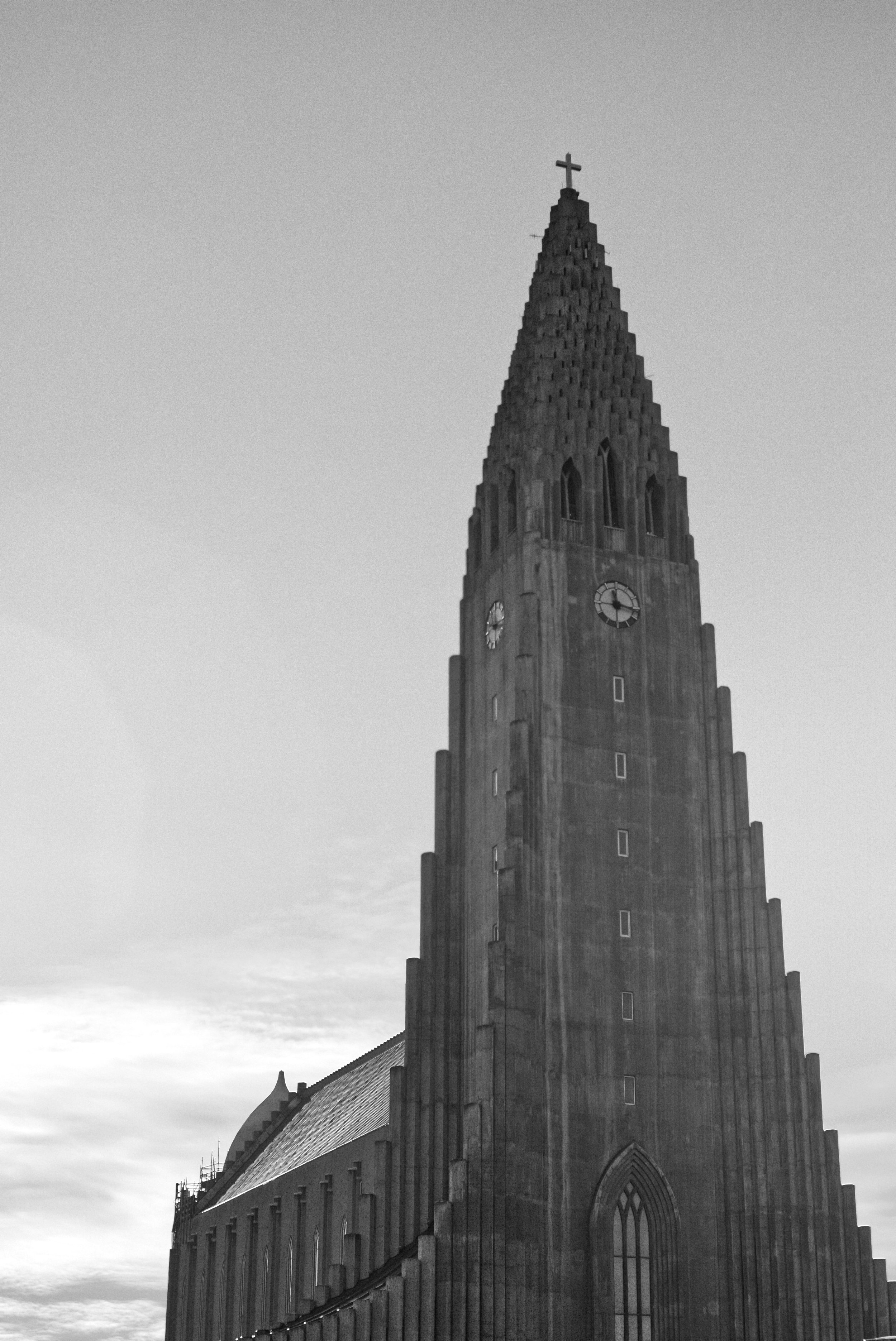 DSC04910.jpg