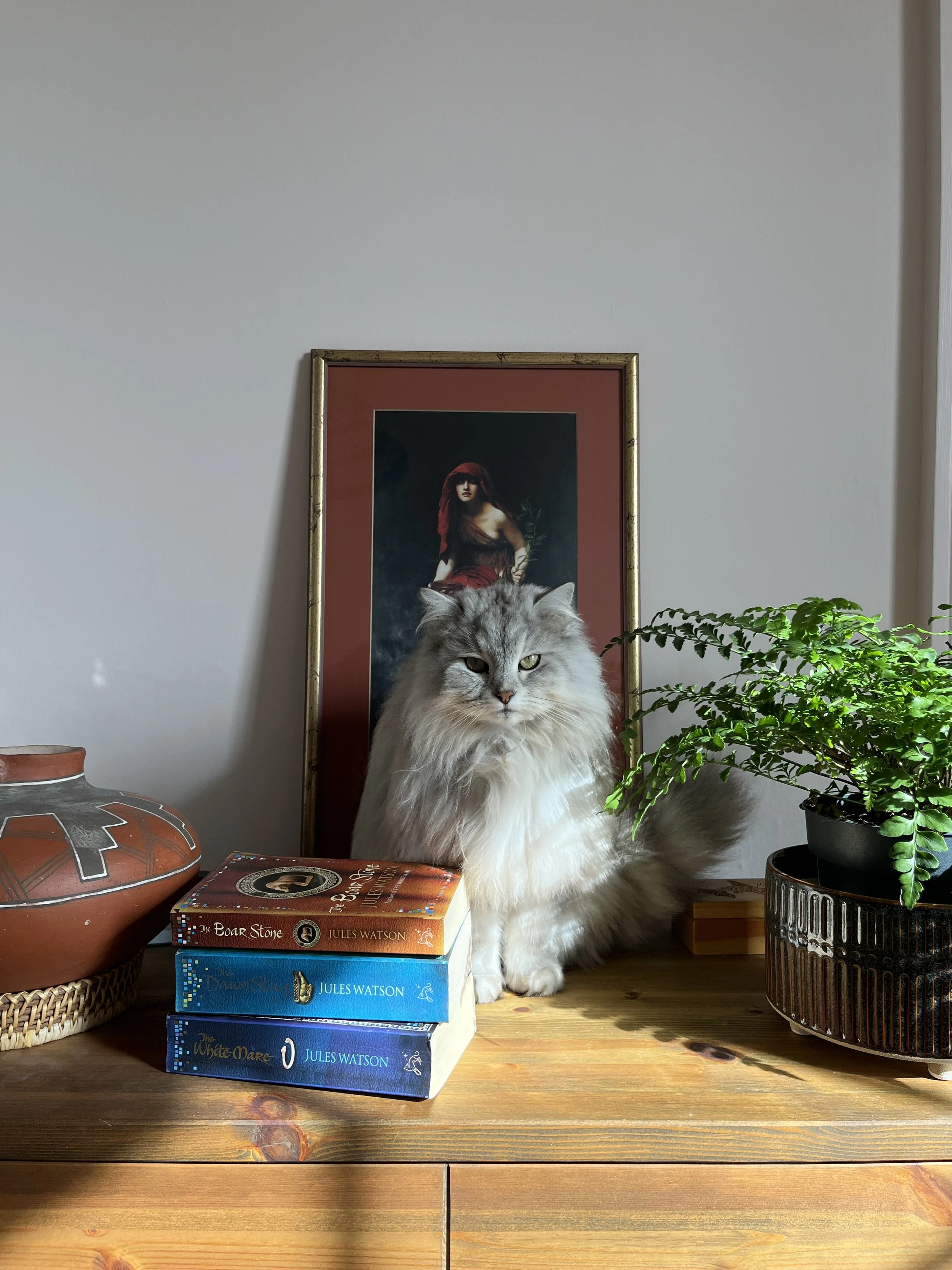 Photo of a fluffy grey and white cat sitting behind a stack of books, ‘The Dalriada Trilogy’, by author Jules Watson. A painting of the ‘Priestess of Delpi’ hangs on the wall.