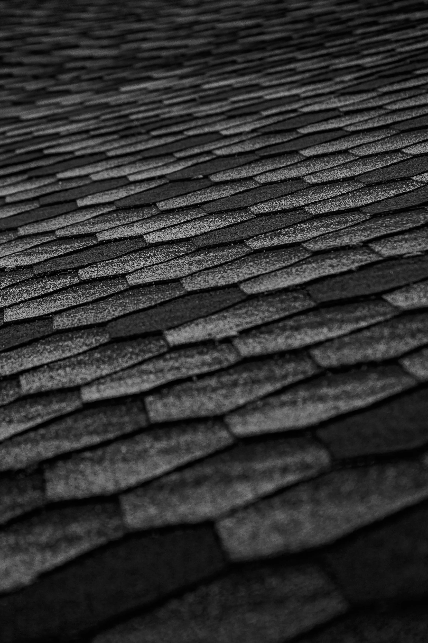 Close-up of black textured asphalt shingles on a roof.
