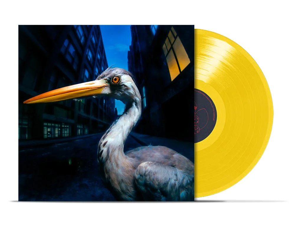 Antony Szmierek - Decoding Bridsong (Pre-Order)