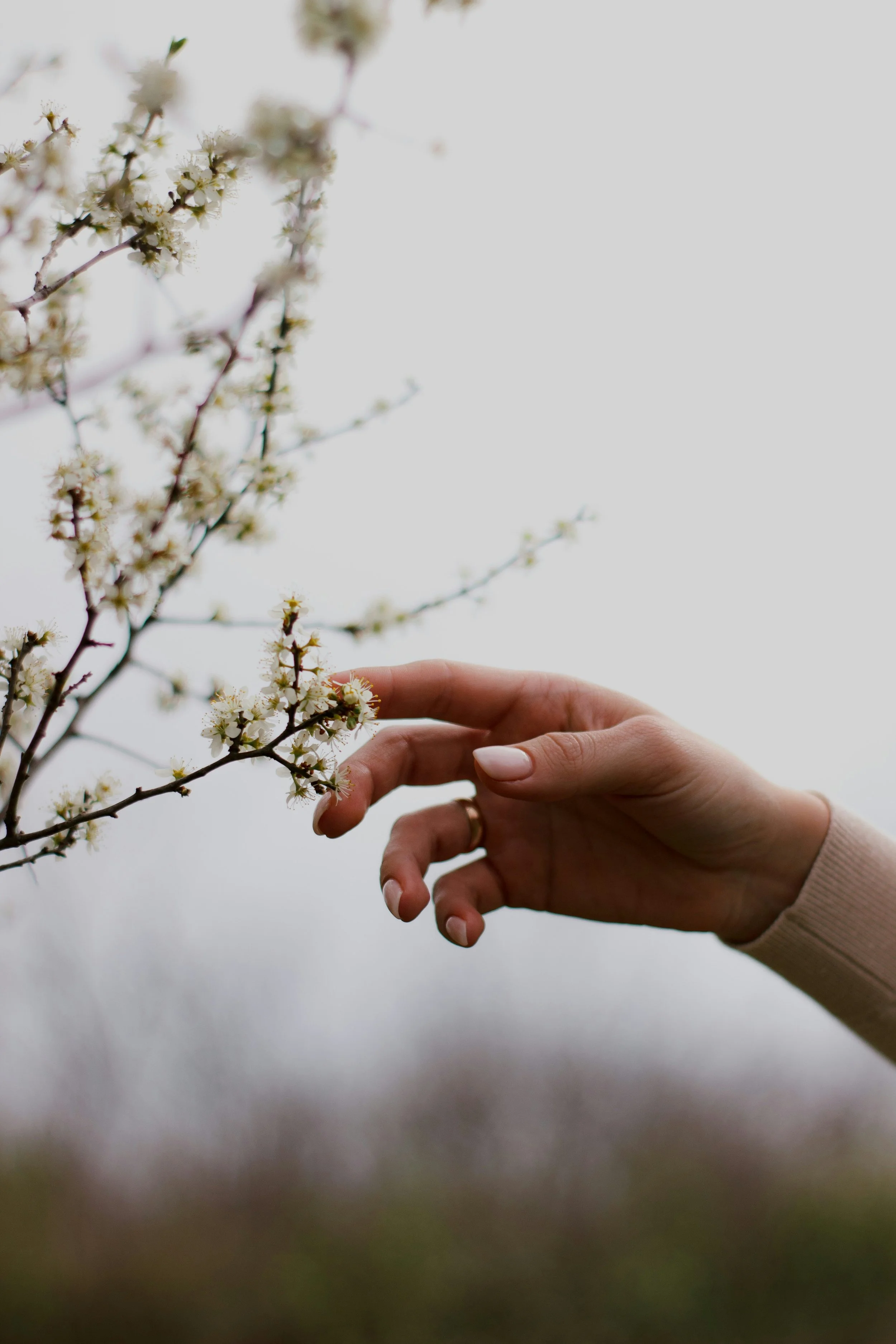 Girl hand with a small flower