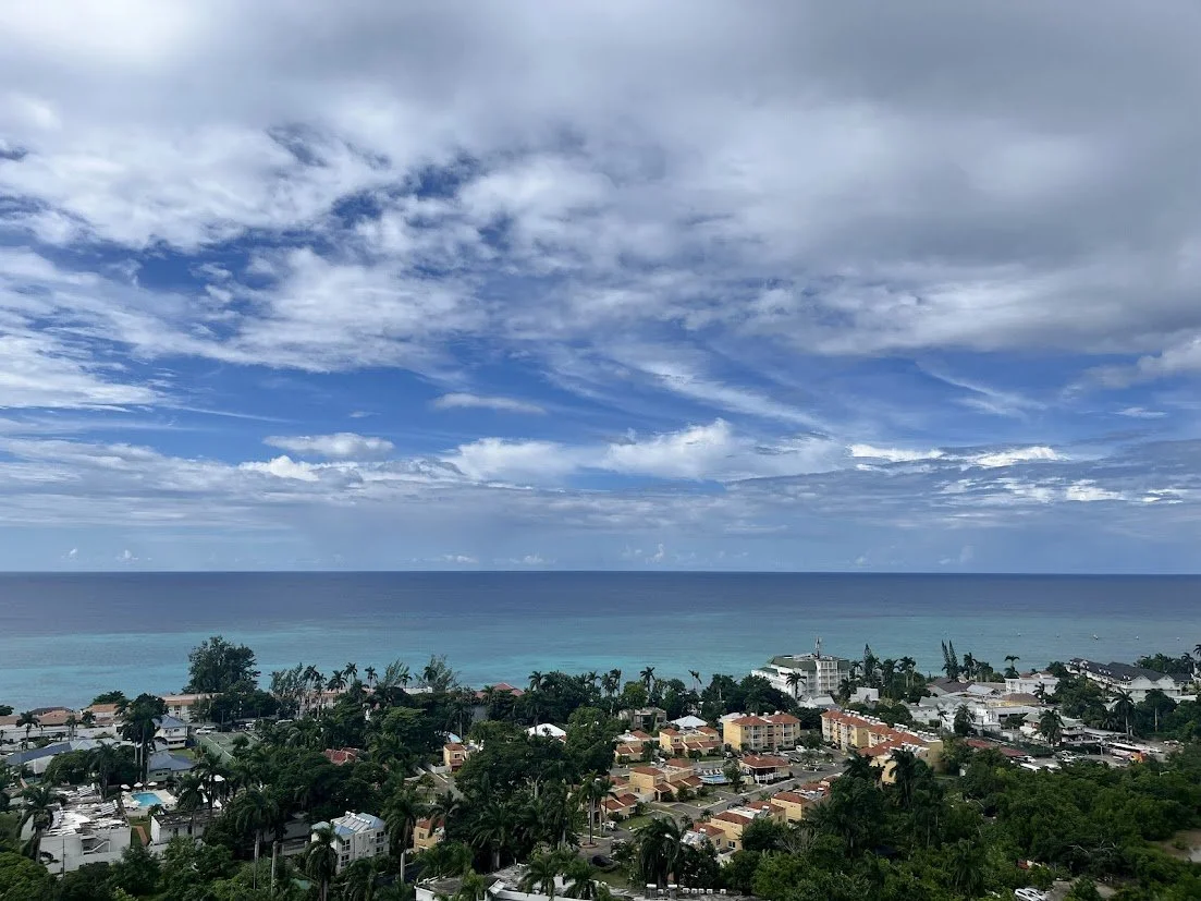 A coastal cityscape with colorful buildings and lush green trees, overlooking the ocean with a cloudy sky above.