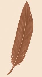 Brown feather on a light beige background