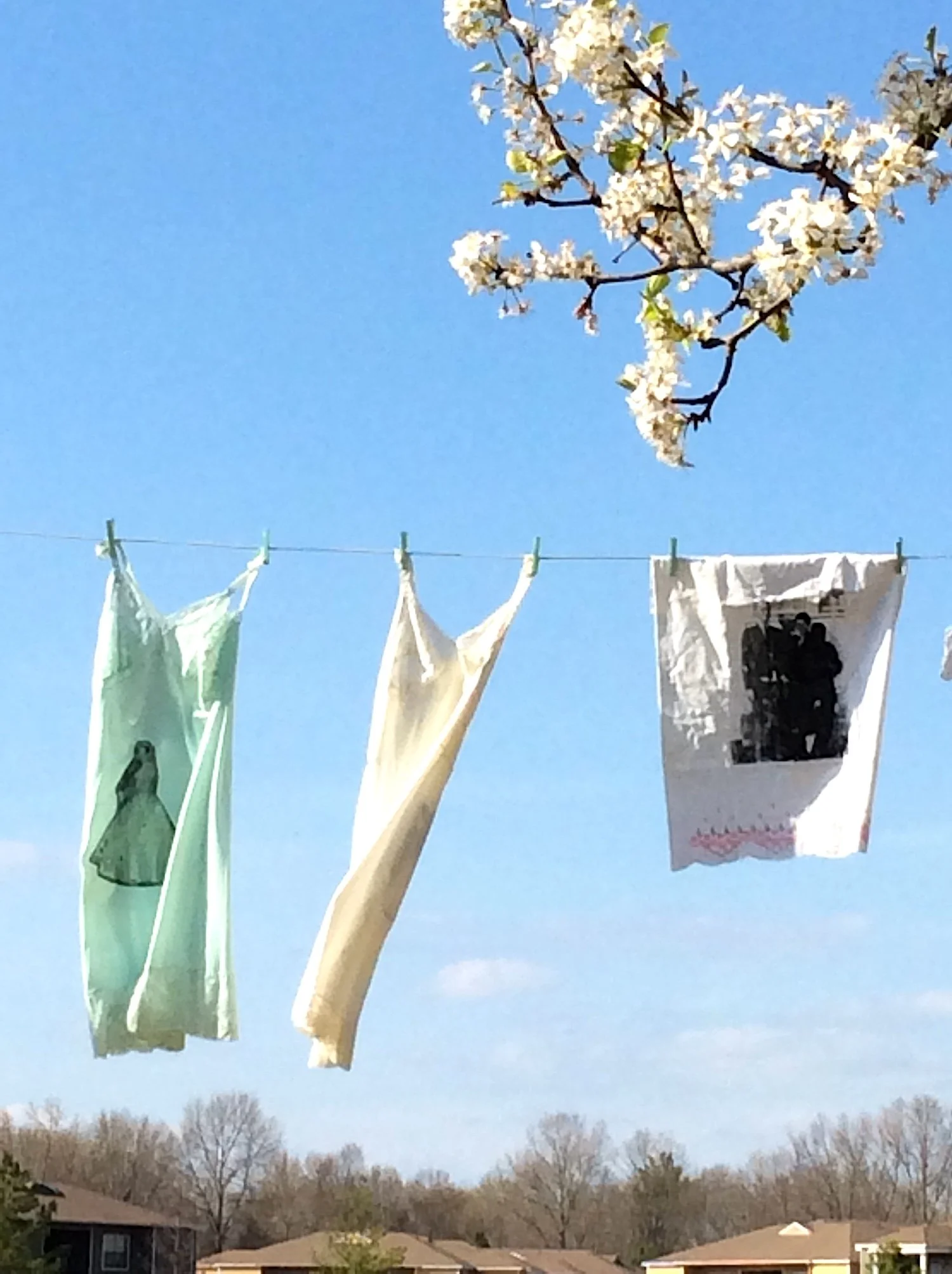 1.Cherry Blossom Laundry Day.8x10.Jenna  Fergus.JPG