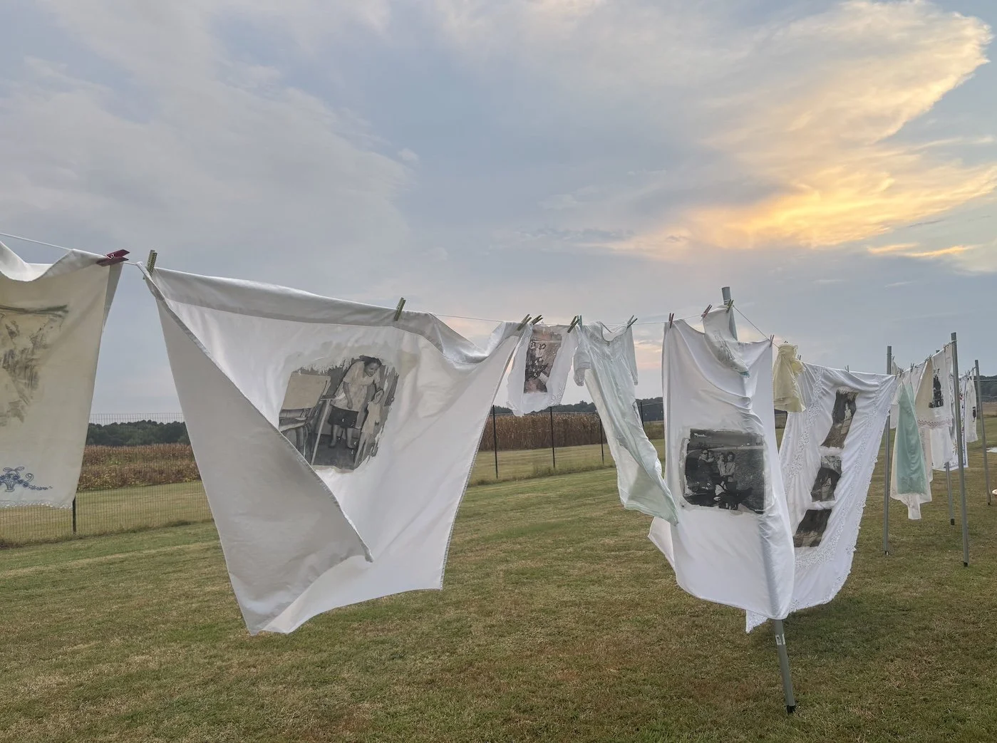 11.Laundry Gone Wild. AgriCenter. JAF.jpeg