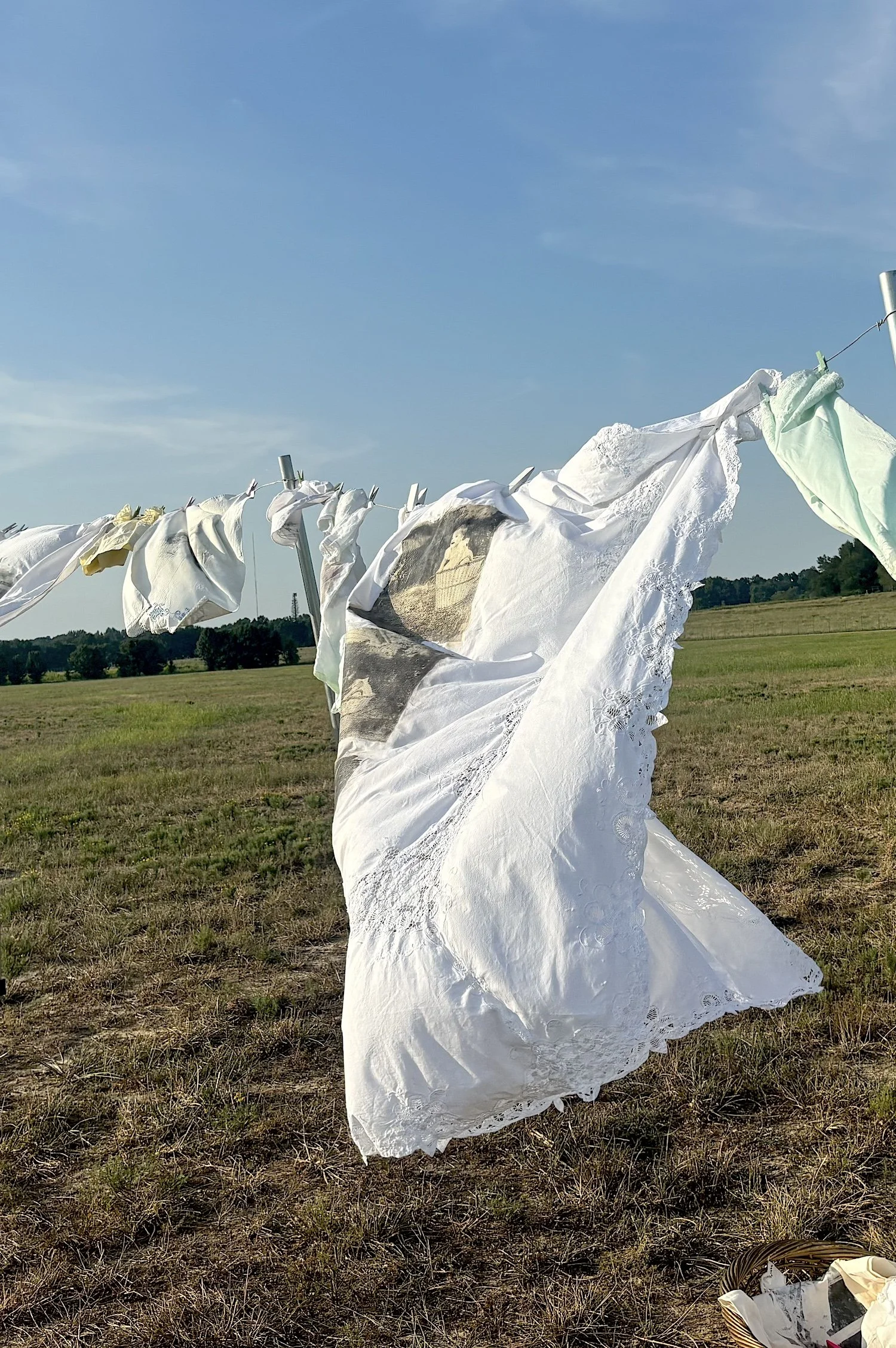 9.Twisted in the Wind.8x10.Jenna Fergus.jpeg