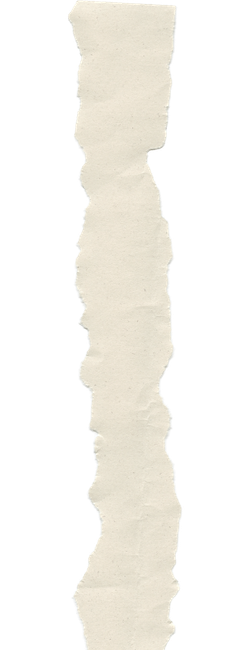 A torn piece of paper with a wavy and uneven edge.