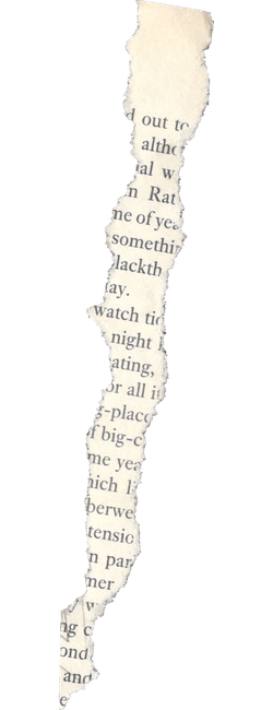 A torn piece of paper with illegible text on it.
