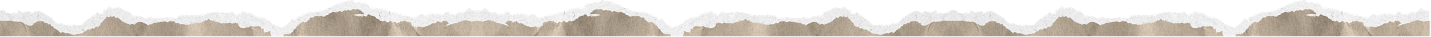 A torn piece of paper with rough edges and a textured surface.