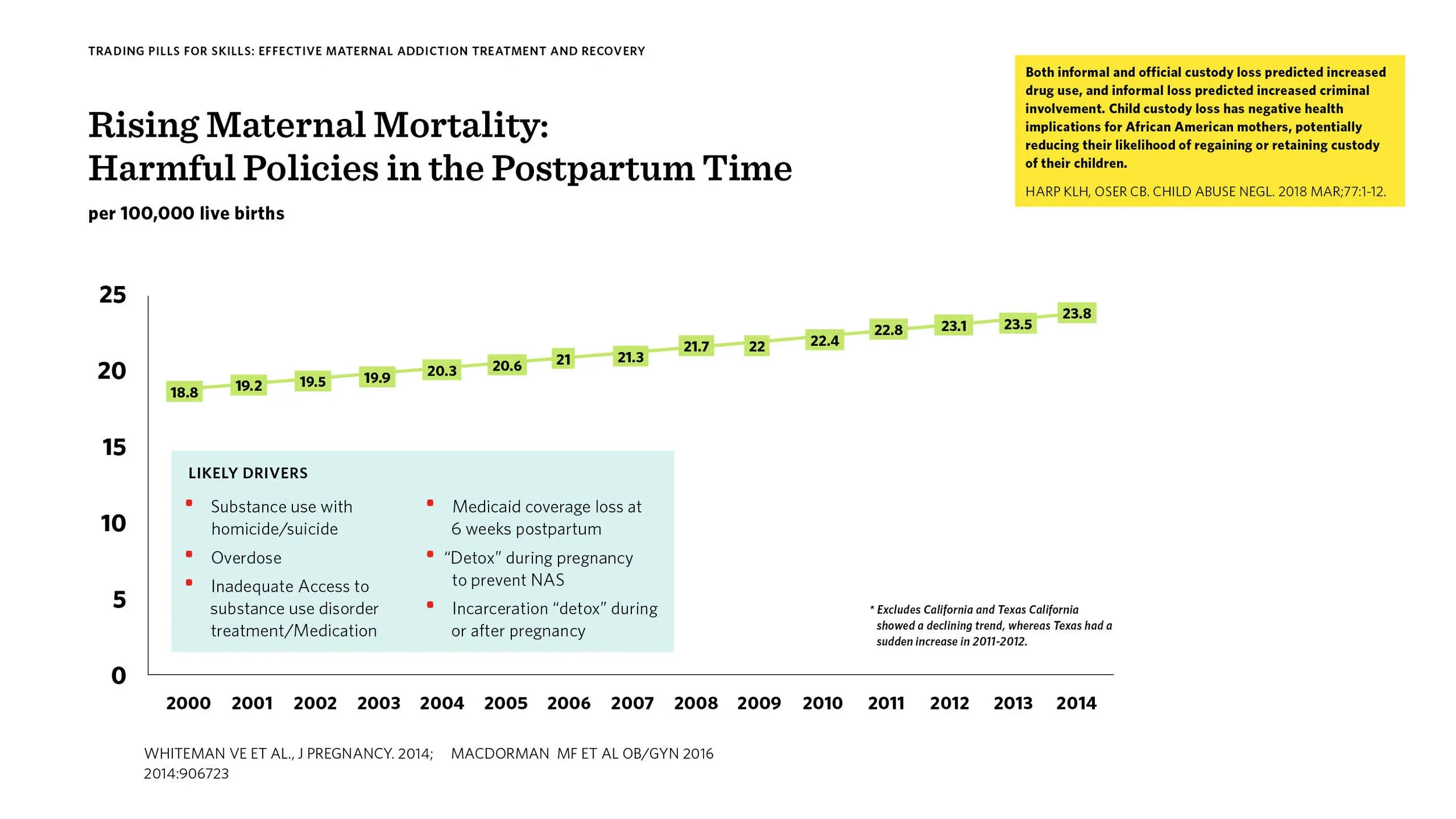 apa20-slide-1.webp