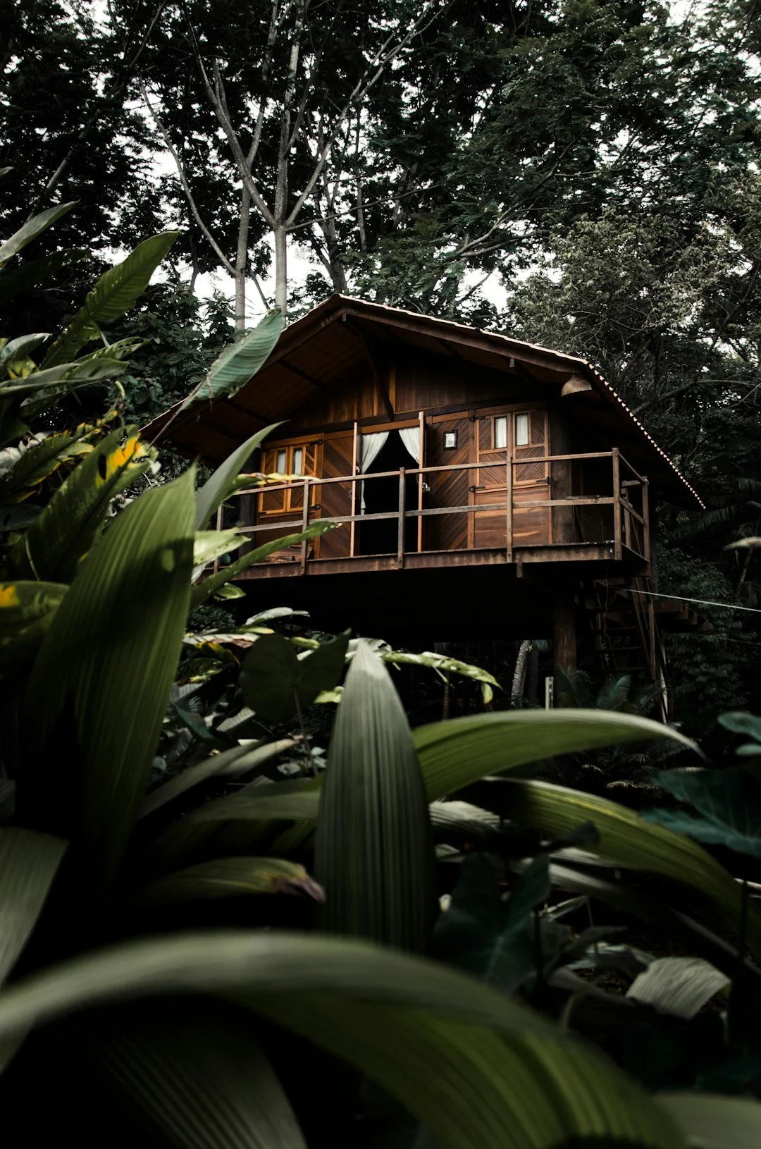 Wooden treehouse surrounded by lush green foliage and tall trees.