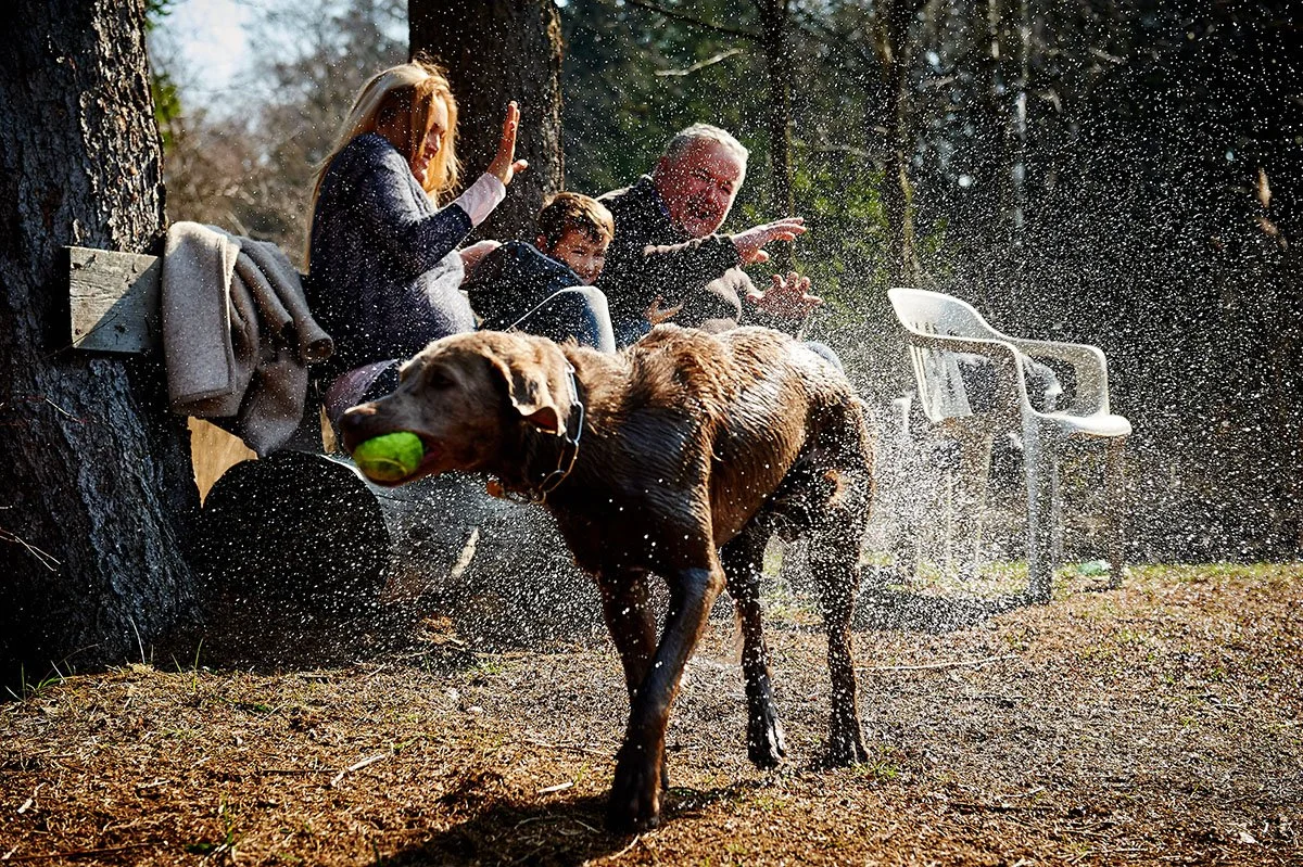 Familie beim Sitzen und Spielen im Wald, Hund trägt Ball im Maul, Wasser spritzt