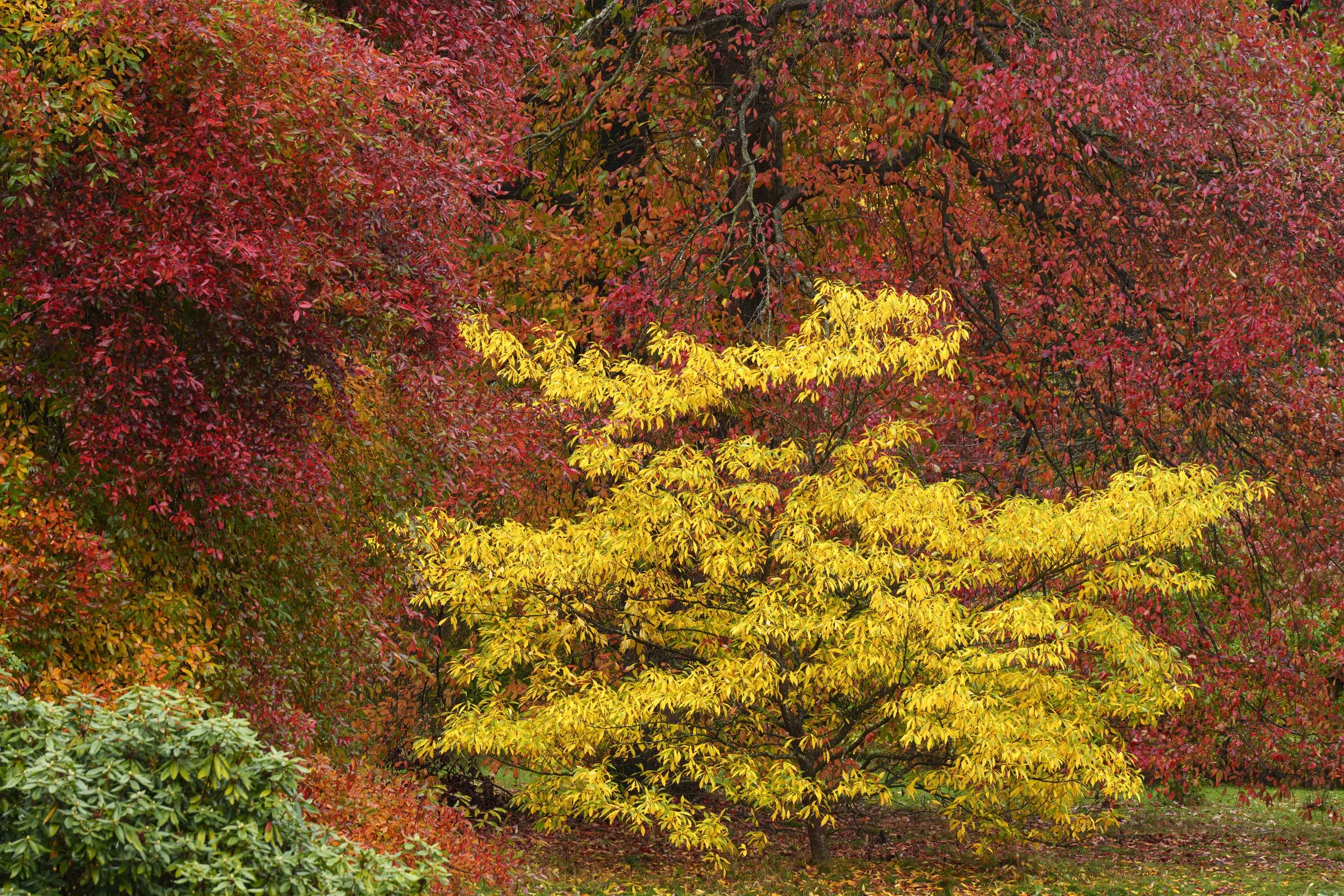 Gardens-8.jpg