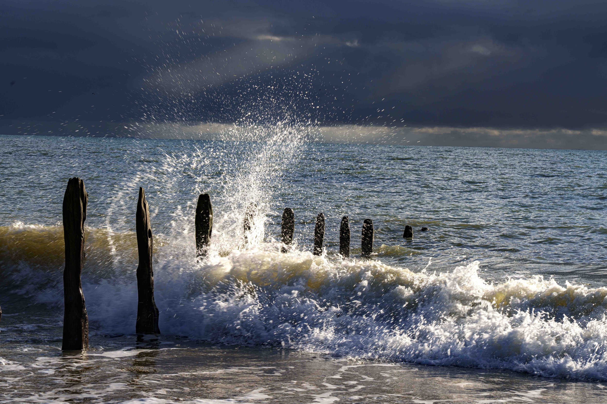 The Coast
