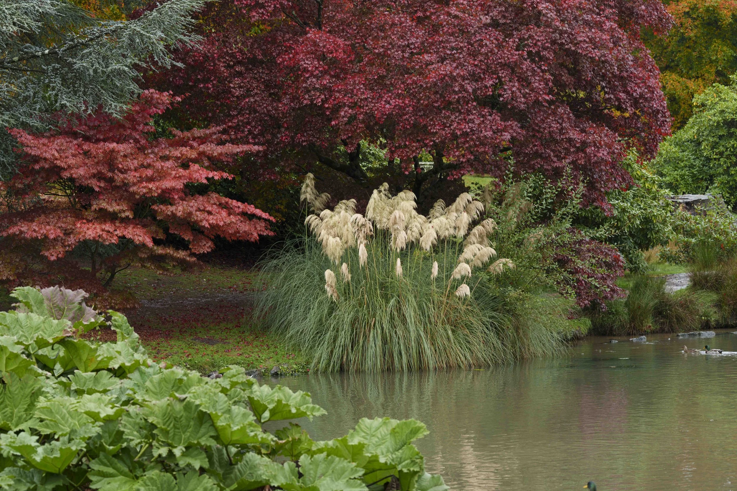 Gardens-7.jpg