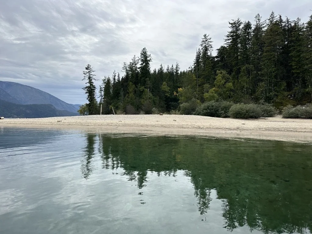 Nemo Creek beach.jpeg