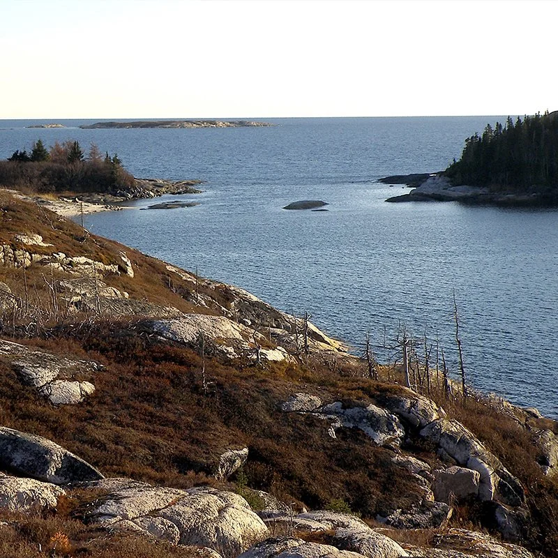 Scène côtière avec une mer calme, une côte rocheuse avec de la végétation et quelques arbres, sous un ciel dégagé.