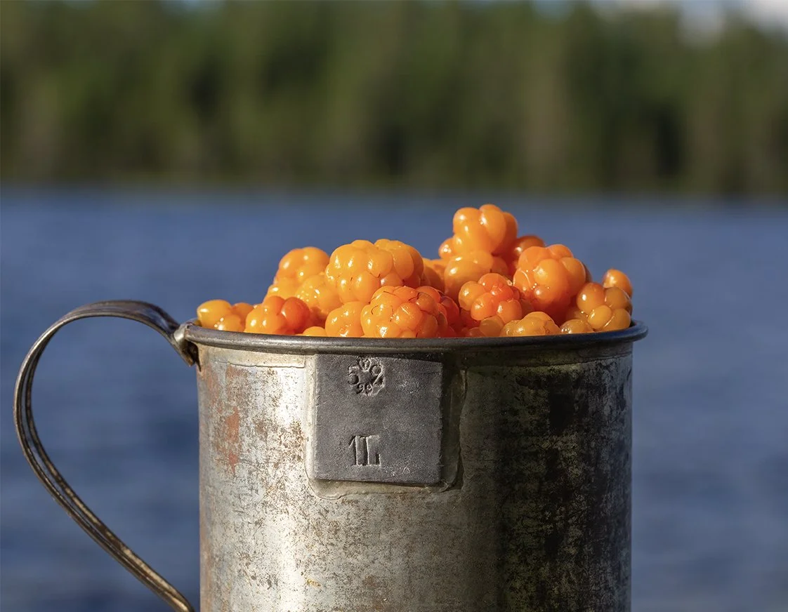 Un vieux mug en métal rempli de baies orange, avec un fond flou d'eau et de végétation.