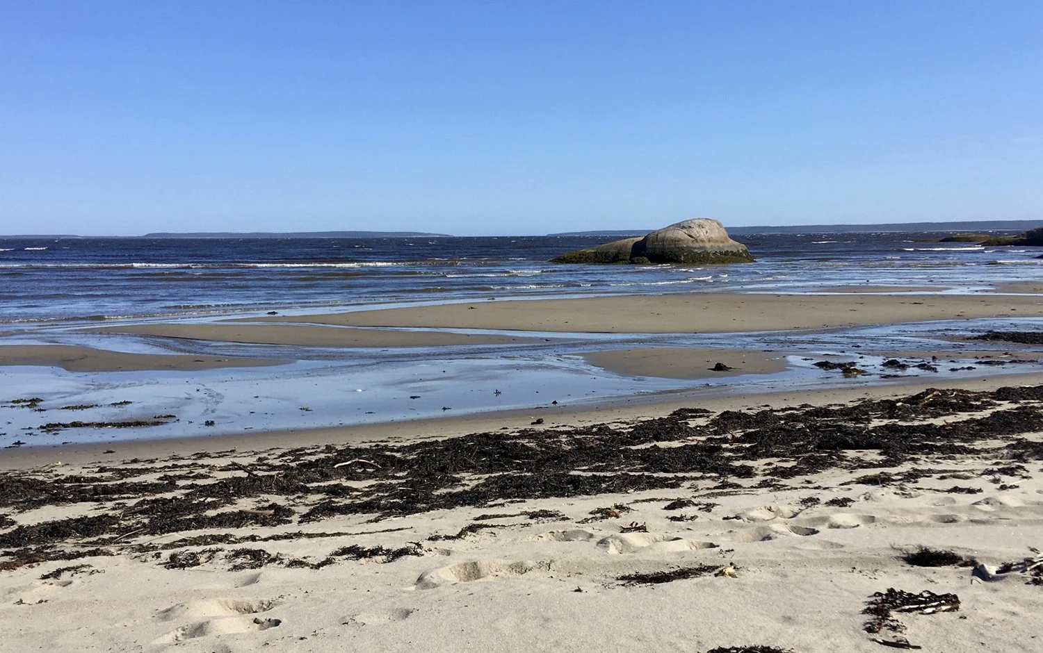 Plage avec sable, algues, rocher, mer et ciel bleu clair.