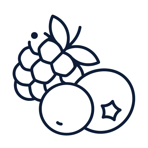 Illustration de des fruits, dont des raisins, une myrtille et une framboise.