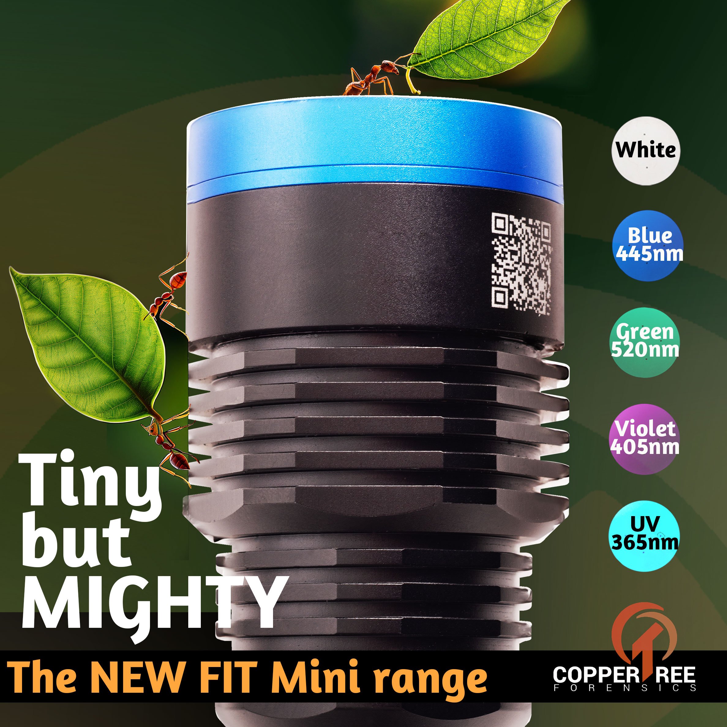 NEW-FIT-mini-range-(Tiny-but-Mighty).jpg