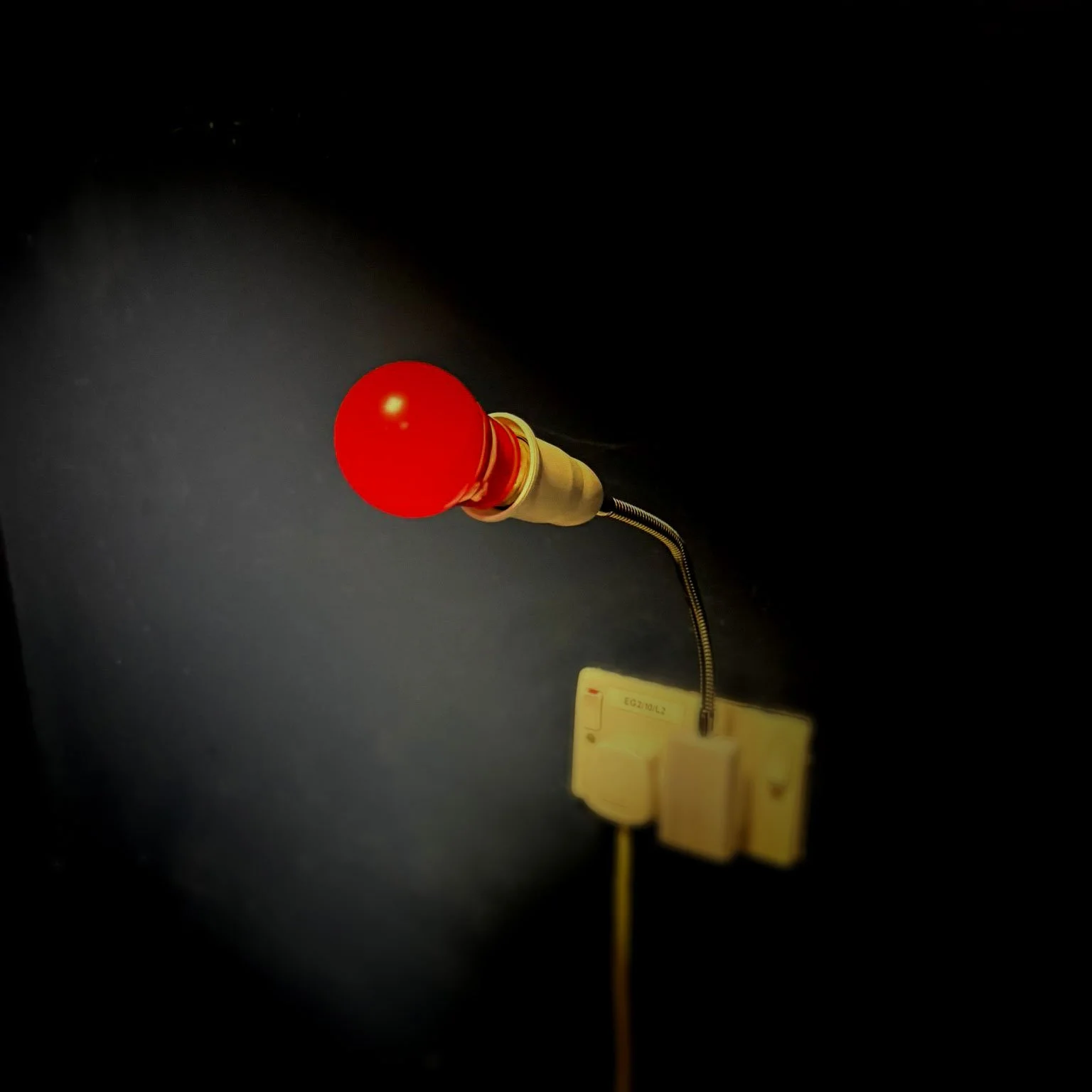 Dark-Light-LOW-RES.jpg