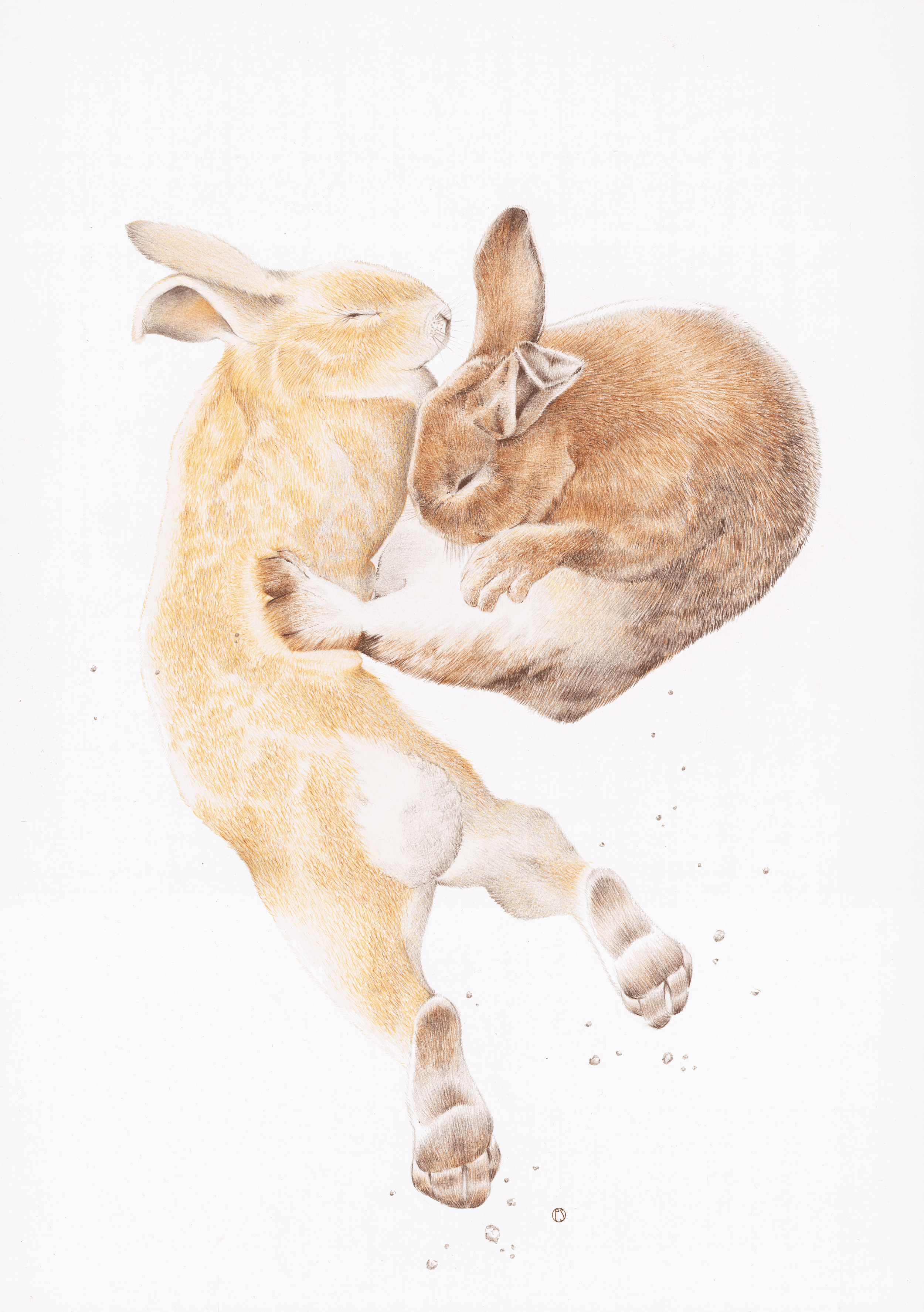 Lapins new version.png
