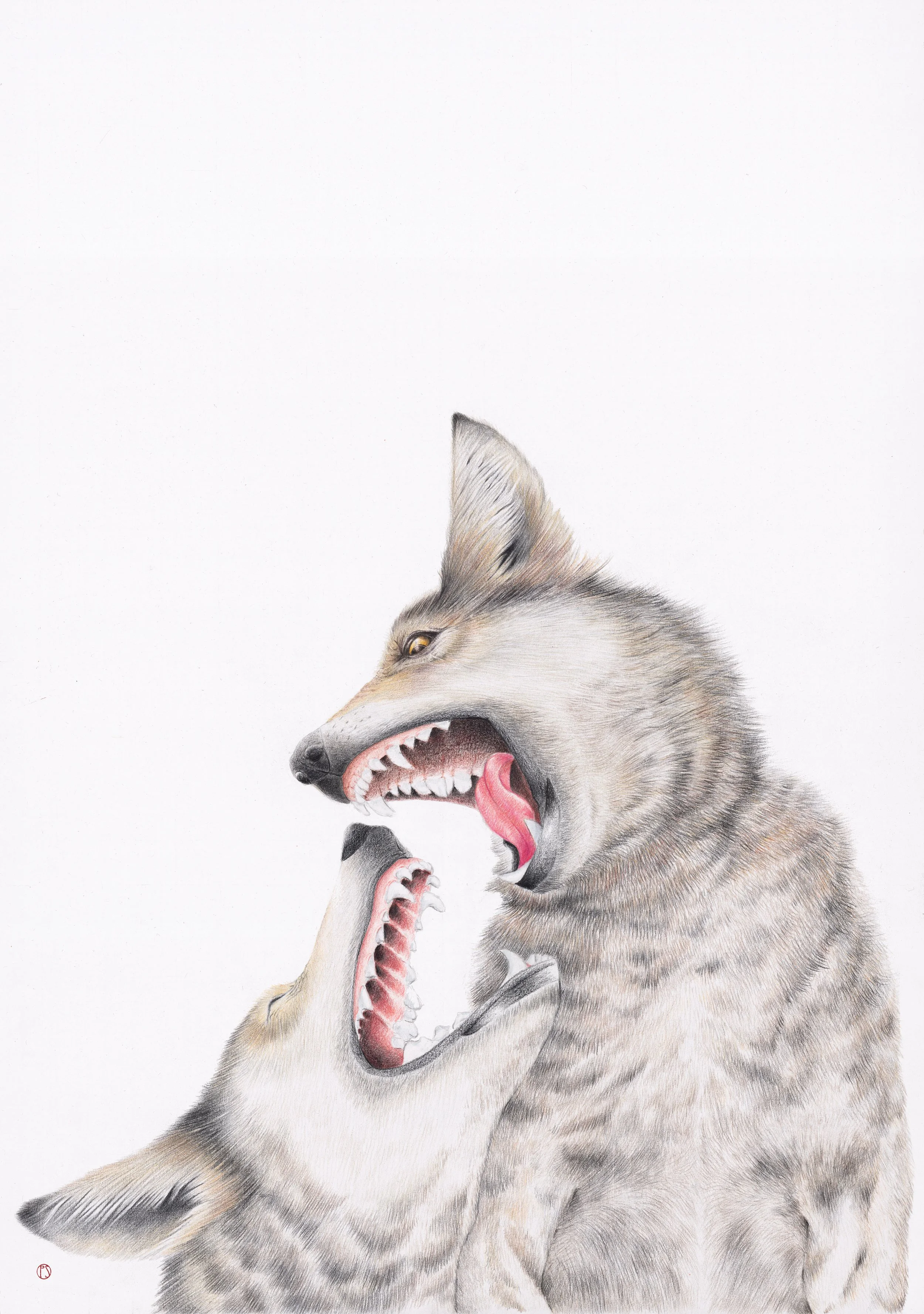 Loups new version.jpg