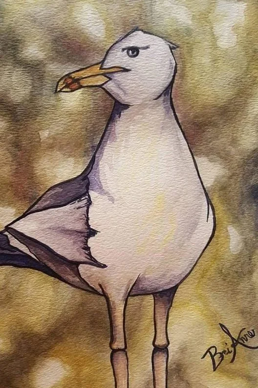 Seagull