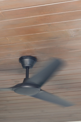 Sir Leonard9.png
