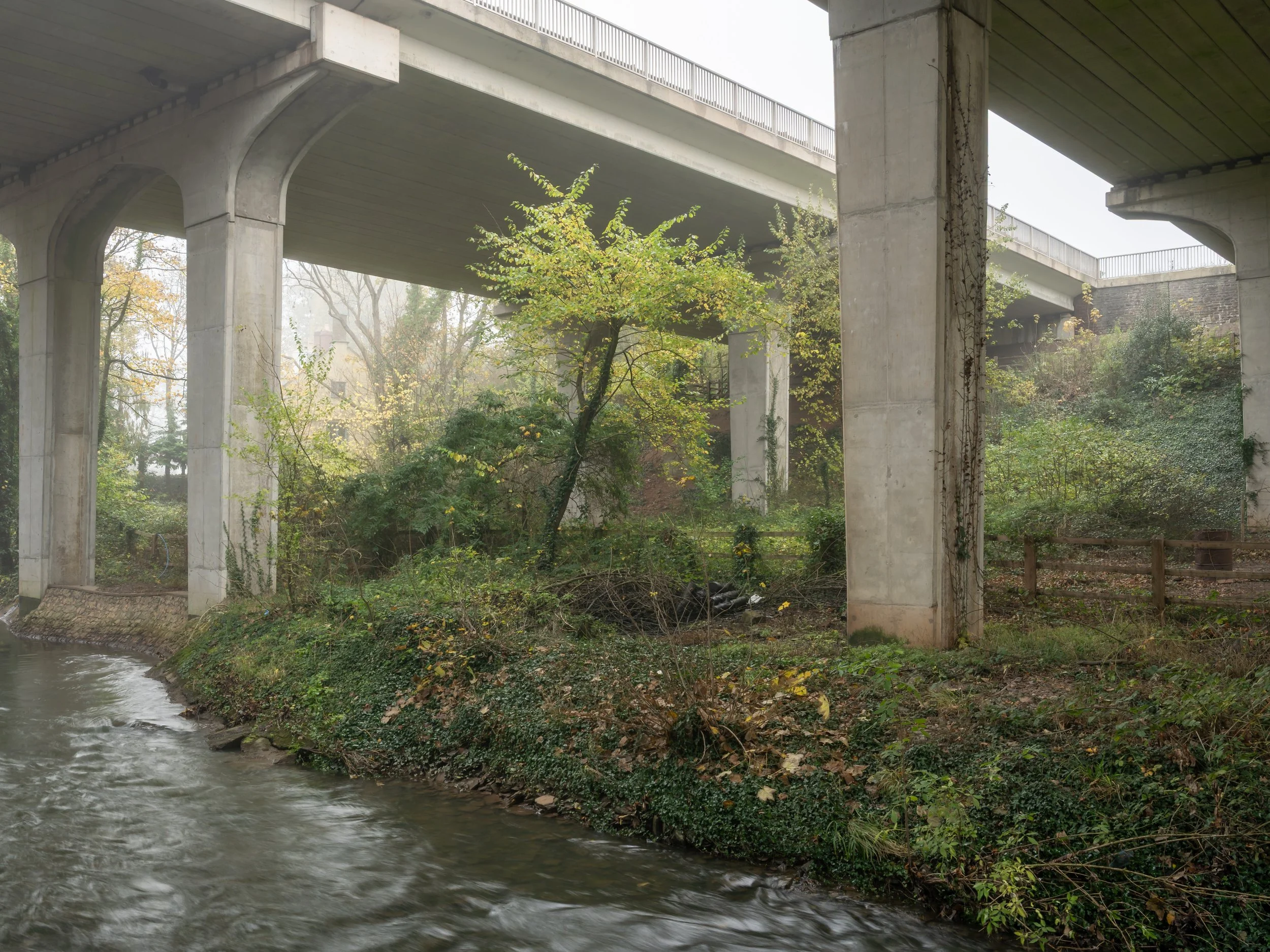 View of a riverbank beneath a highway overpass with concrete pillars, trees, and greenery.