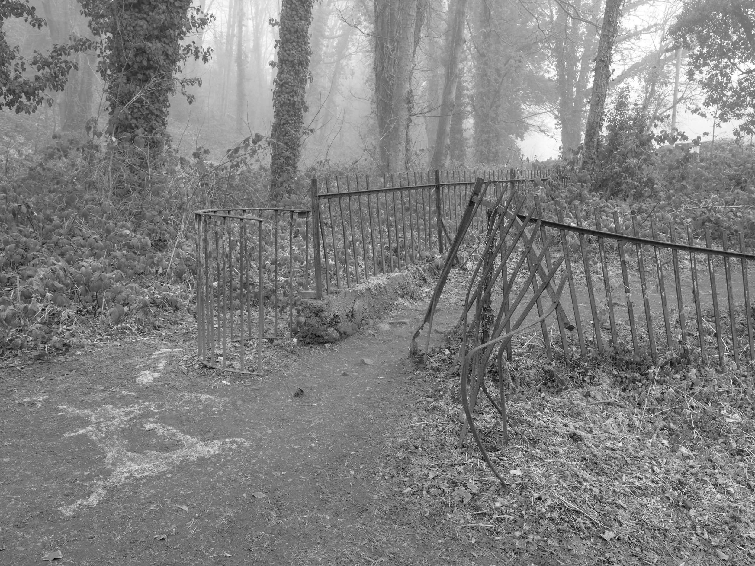 A damaged metal fence along a dirt trail in a foggy wooded area with trees and bushes surrounding the path.