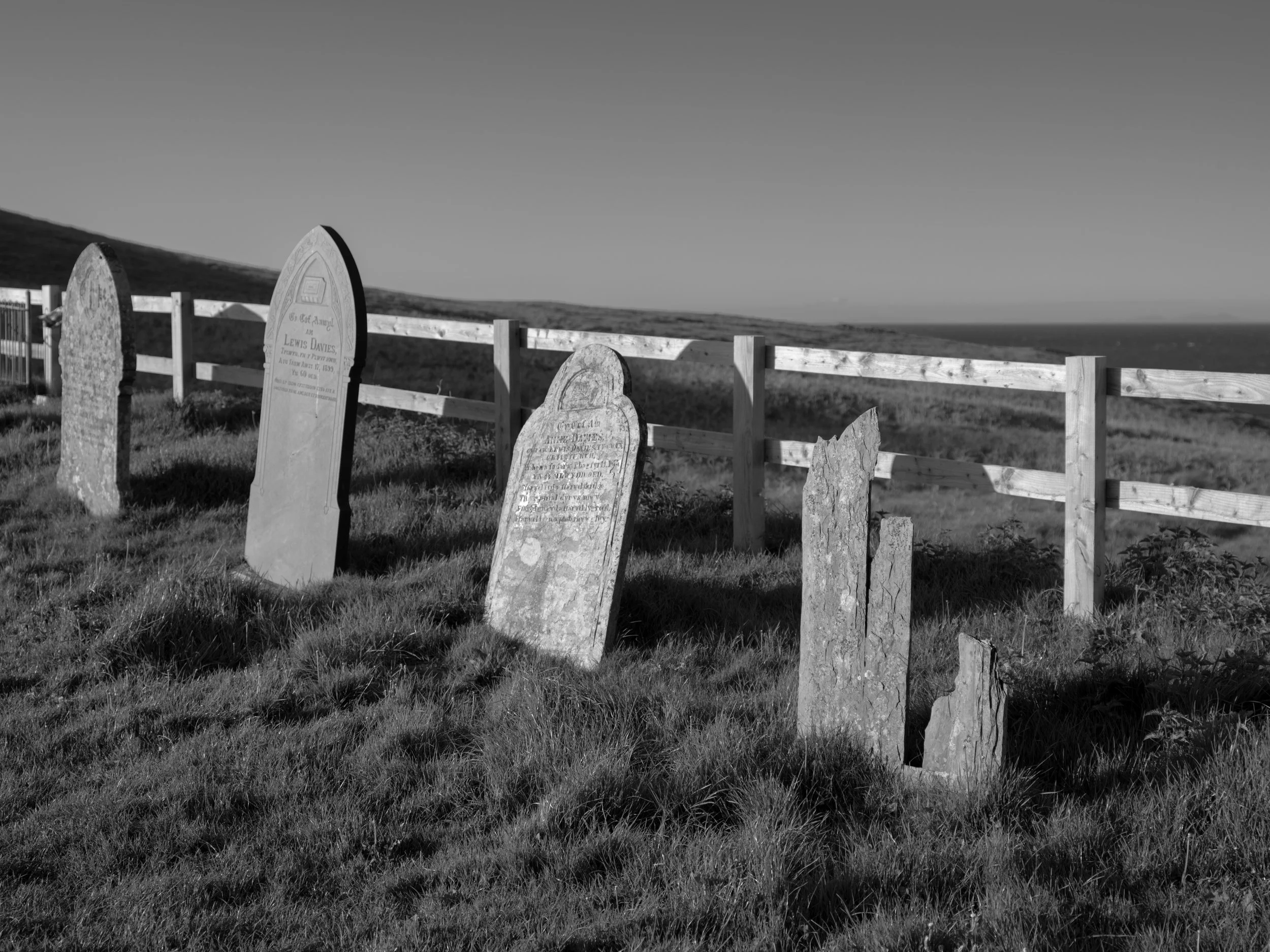 A row of weathered gravestones in a grassy cemetery, enclosed by a wooden fence under a clear sky.