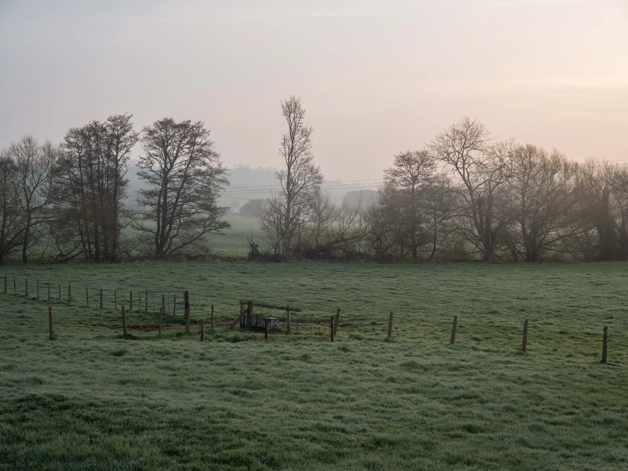 A foggy rural field with a green grassy area bordered by a wooden fence, with leafless trees in the background, and soft light from the early morning or late evening sky.