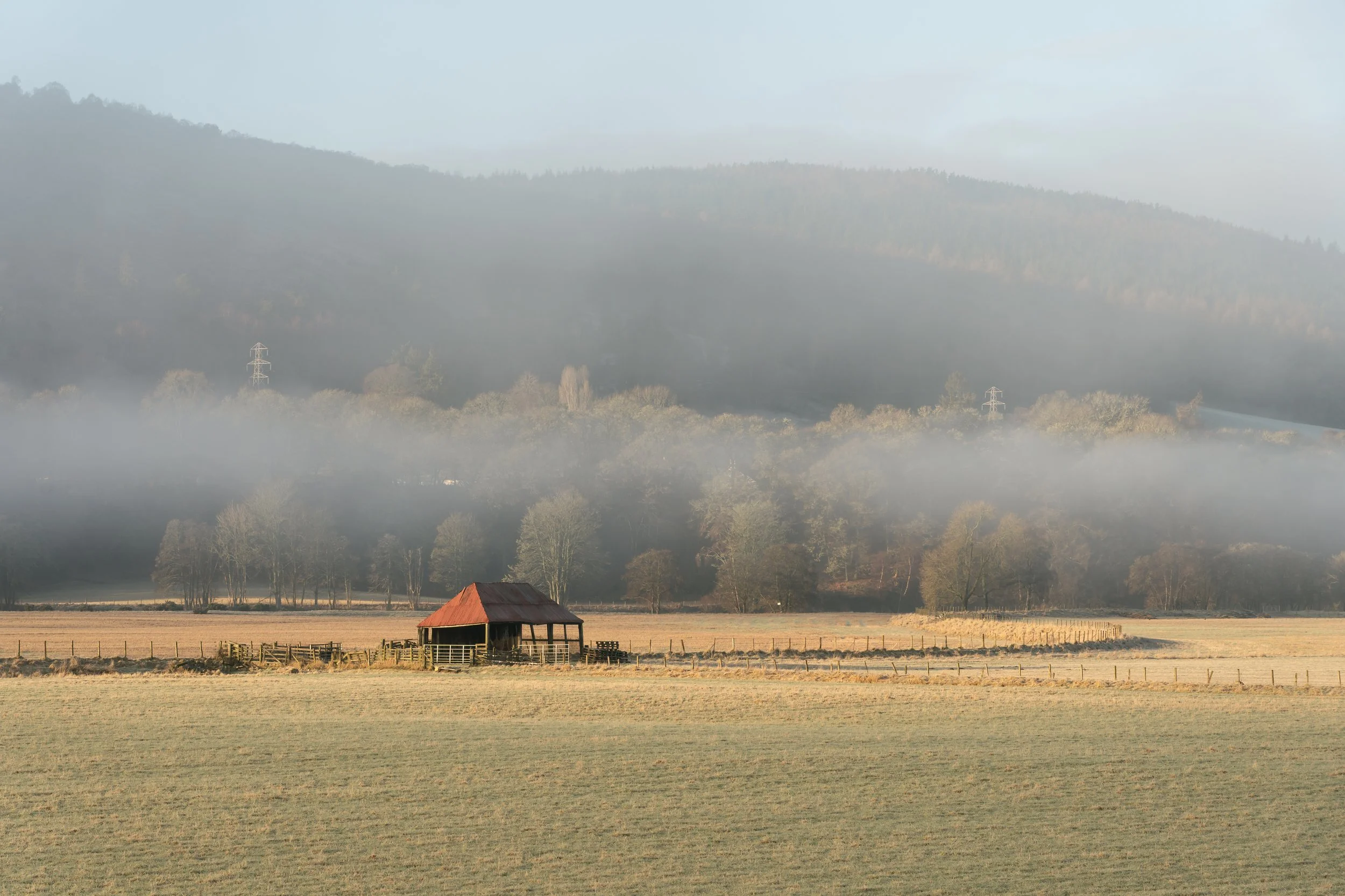 Barn 3.jpg