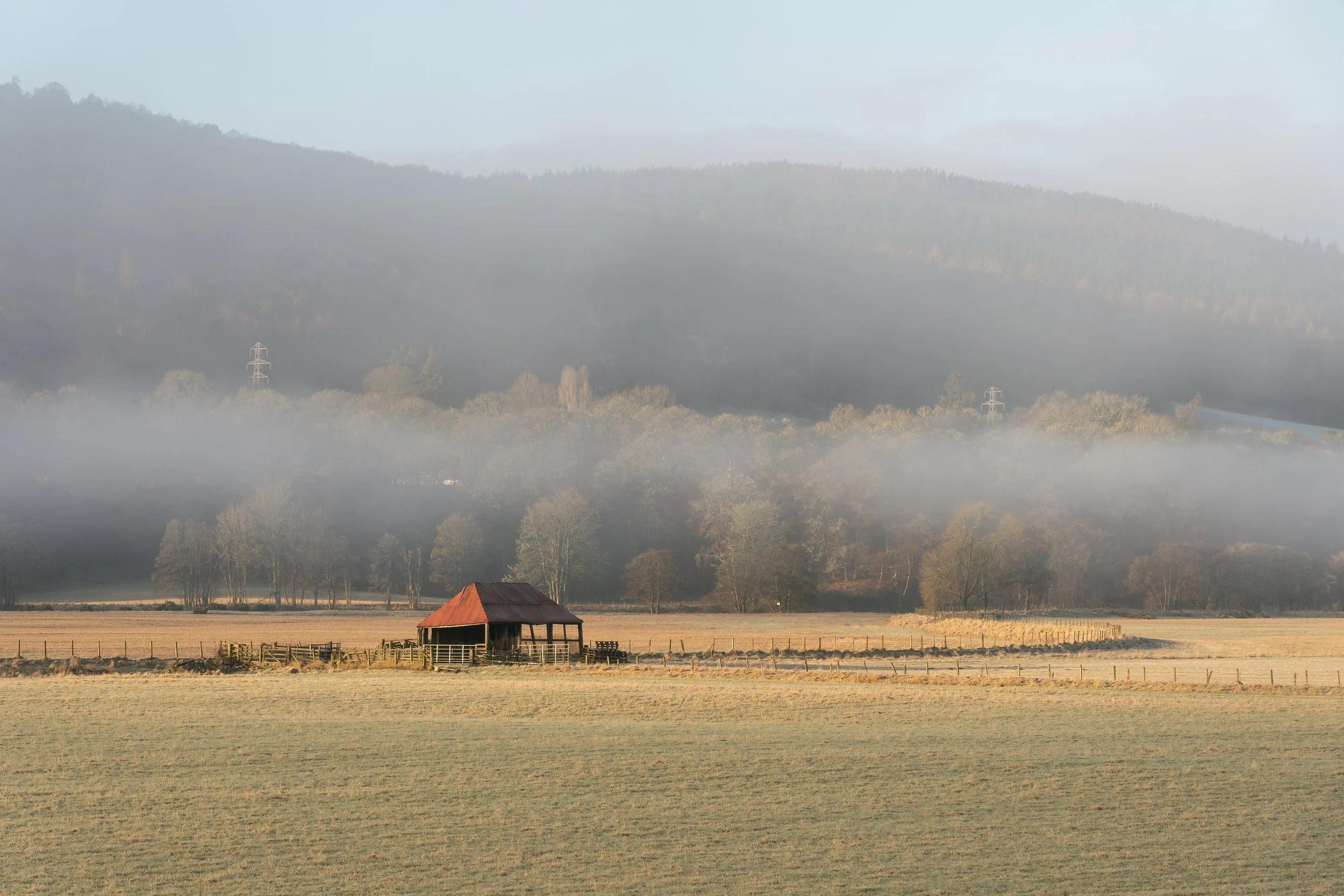 Barn magenta1.jpg