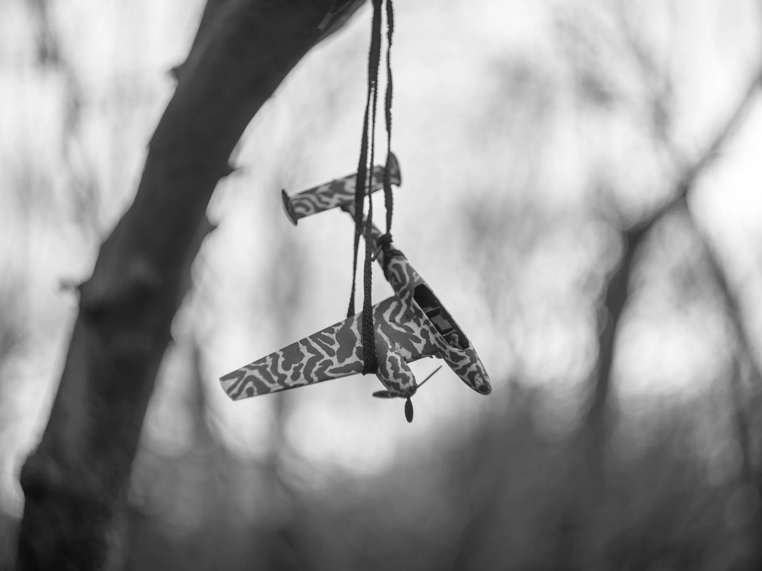 A toy airplane with a zebra-stripe pattern hanging from a tree branch by a string in a monochrome outdoor setting.