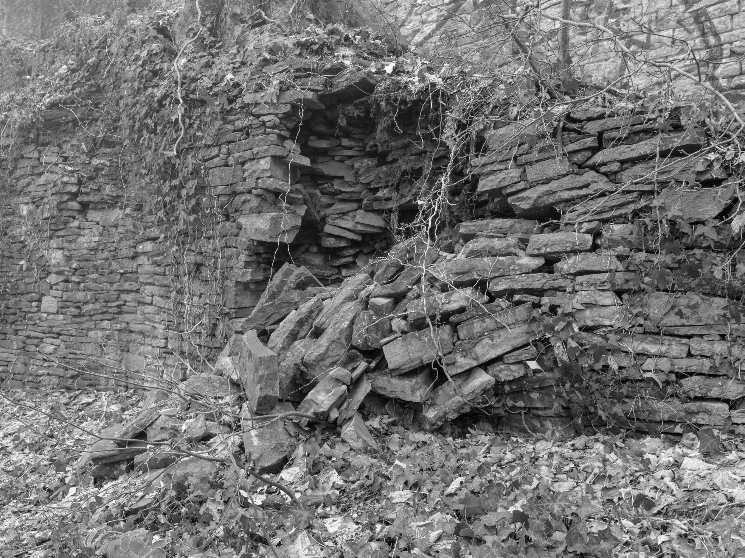 Black and white photograph of an old, partially collapsed stone wall with foliage and vines overgrowth.