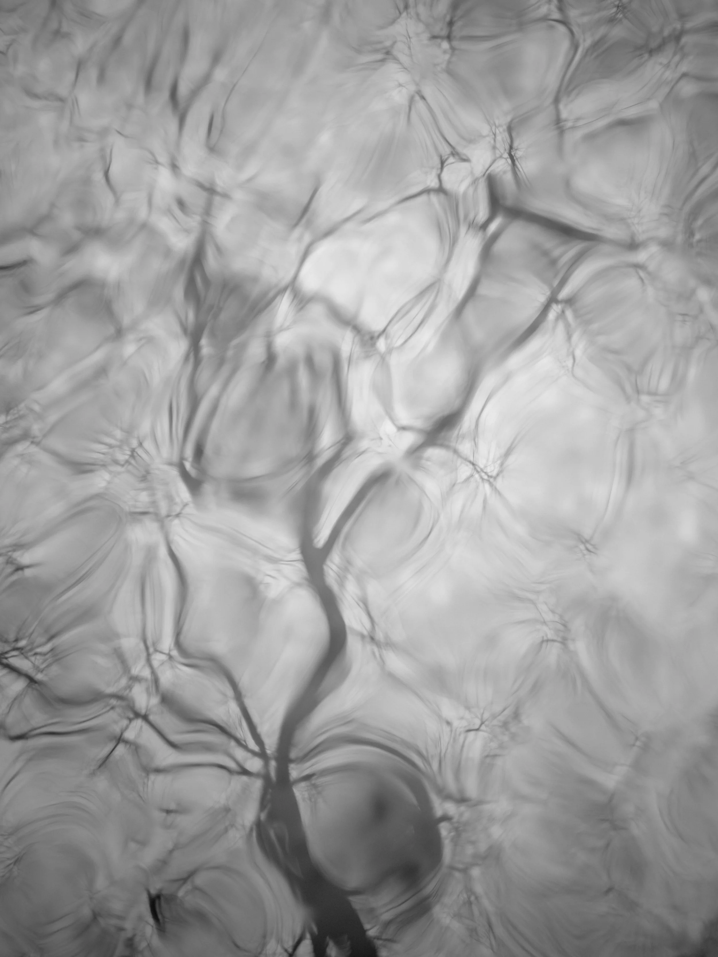 Black and white abstract photo of a tree's branches and roots reflected in water, creating a ripple effect.