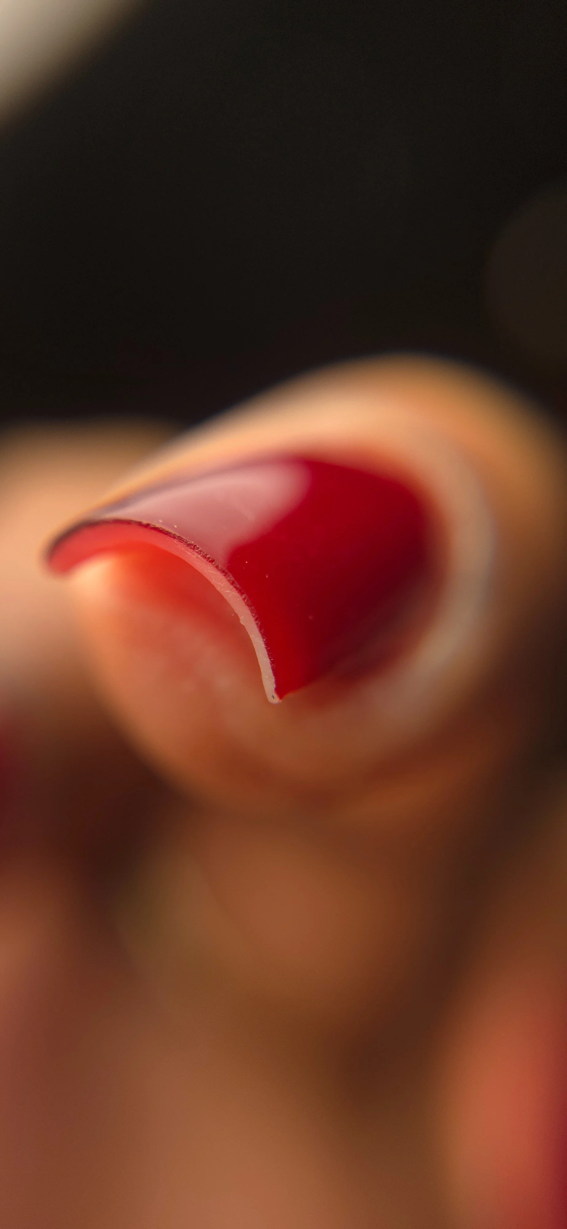Close-up of a fingernail painted with red nail polish, with a smooth curve and glossy finish.
