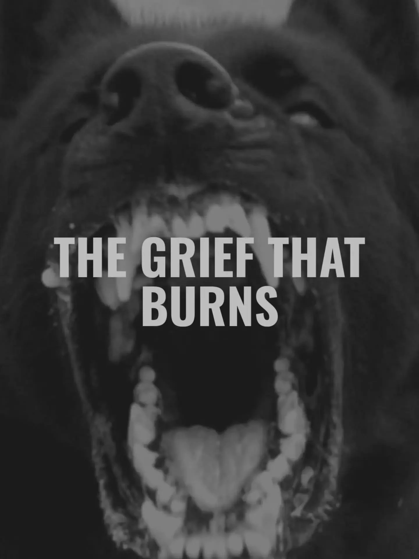 Some things deserve anger. 
Don't mistake calmness for a lack of rage in loss.

Some more pointed sleepless thoughts 🙏
https://asacredmourning.substack.com/