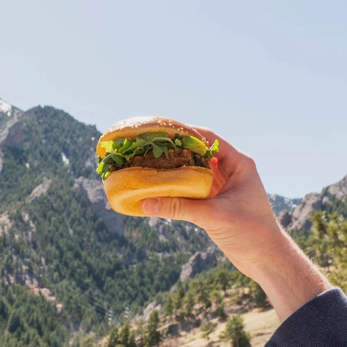 Person holding a hamburger with lettuce, tomato, and beef patty against mountain landscape.