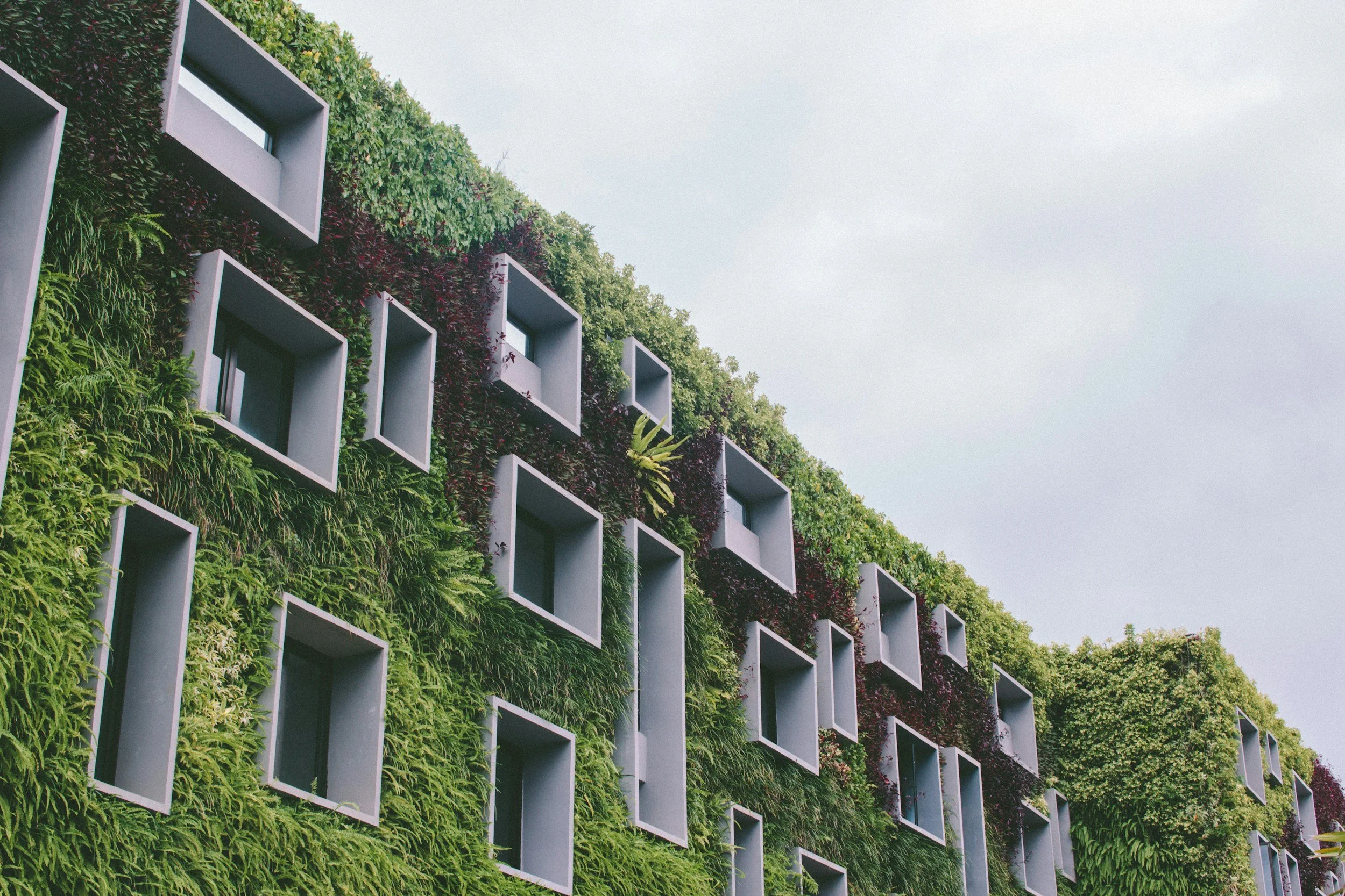 Bridging Wellness and Sustainability into Responsible Hospitality